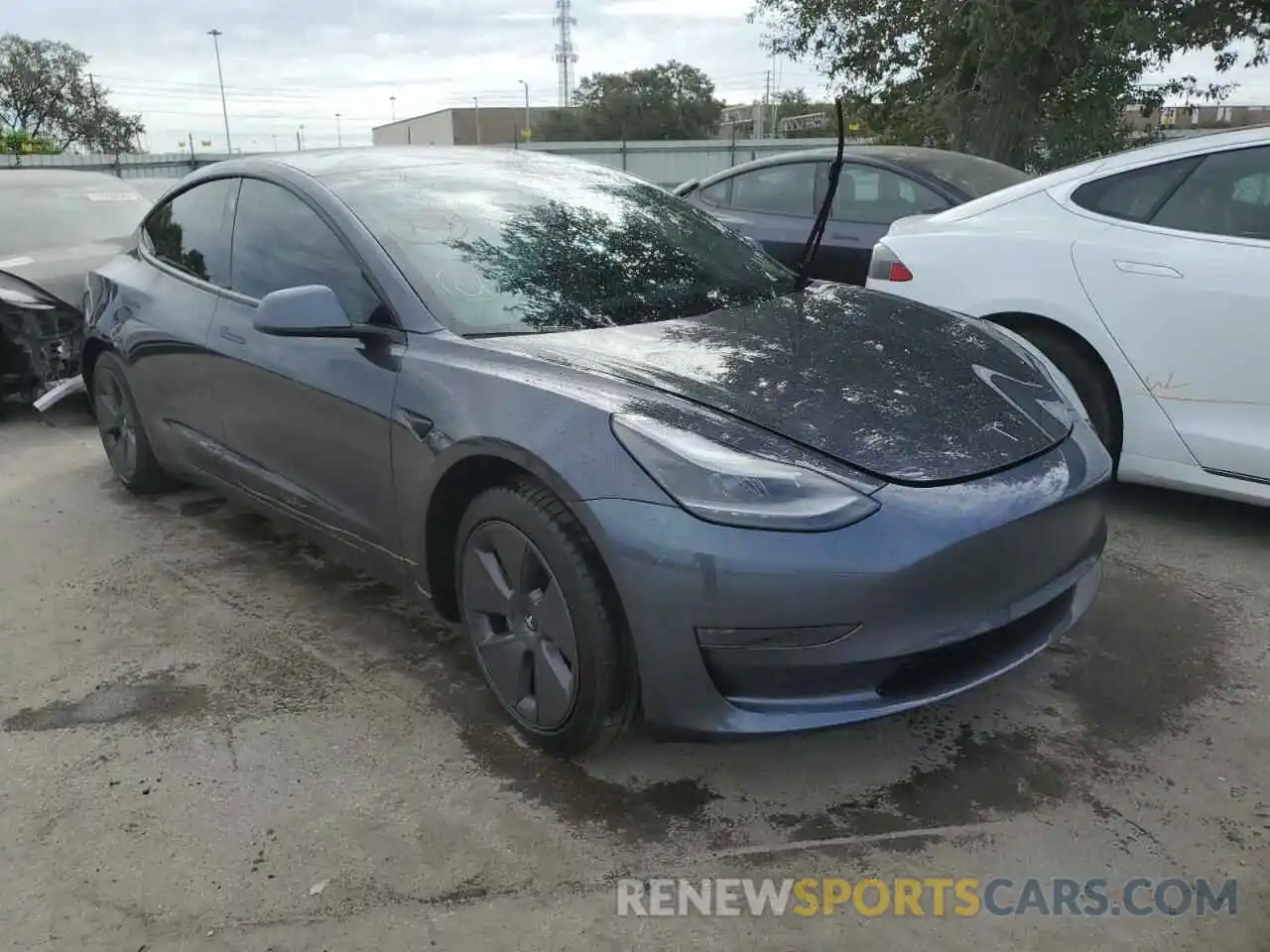 1 Фотография поврежденного автомобиля 5YJ3E1EA5MF093823 TESLA MODEL 3 2021