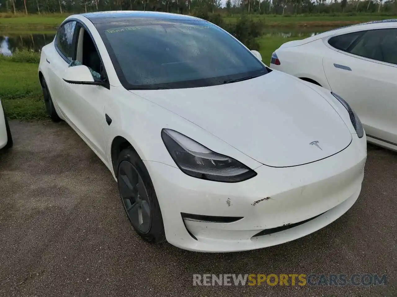 1 Фотография поврежденного автомобиля 5YJ3E1EA6MF911608 TESLA MODEL 3 2021