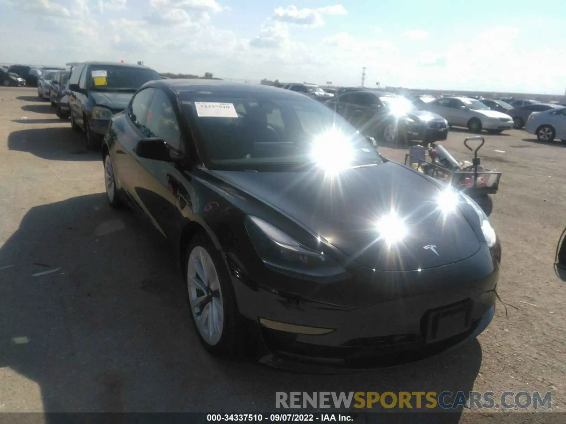 1 Фотография поврежденного автомобиля 5YJ3E1EA6MF925699 TESLA MODEL 3 2021