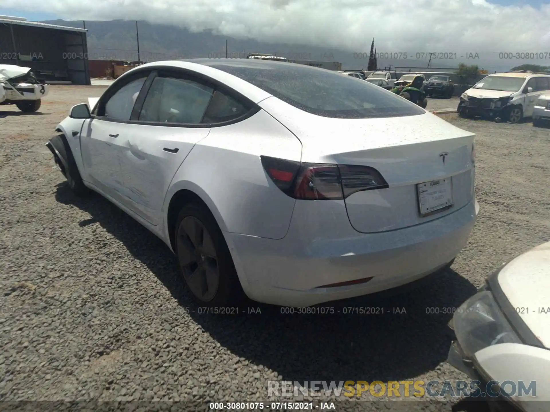 3 Photograph of a damaged car 5YJ3E1EA6MF973204 TESLA MODEL 3 2021