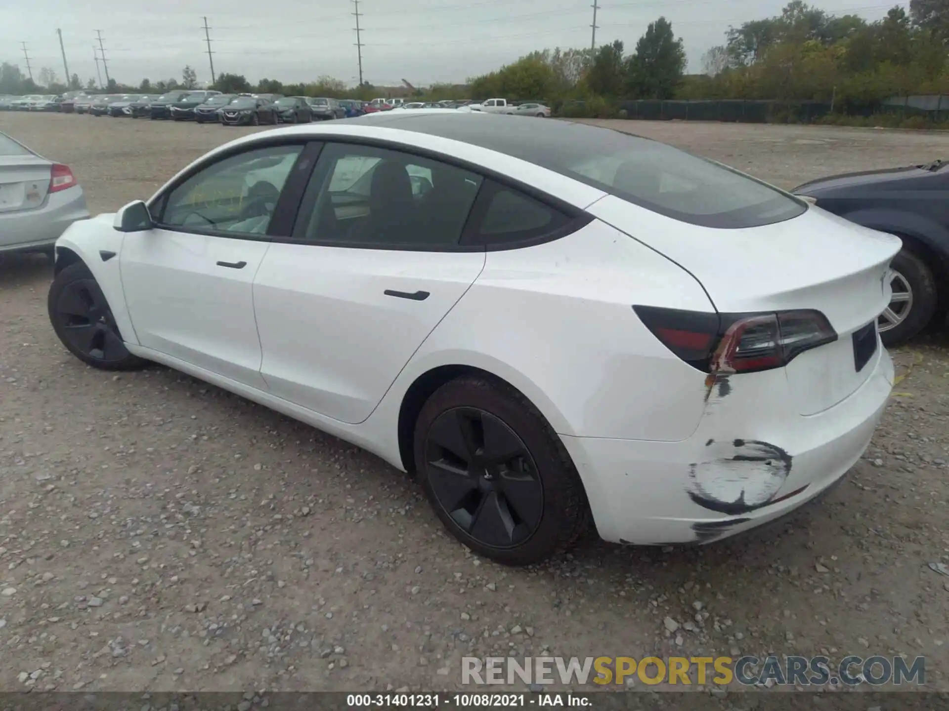 3 Photograph of a damaged car 5YJ3E1EA7MF989105 TESLA MODEL 3 2021