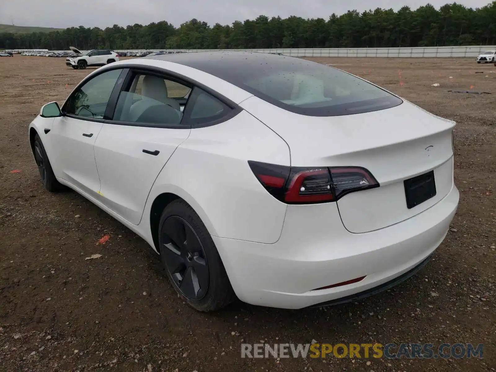 3 Photograph of a damaged car 5YJ3E1EA8MF030036 TESLA MODEL 3 2021