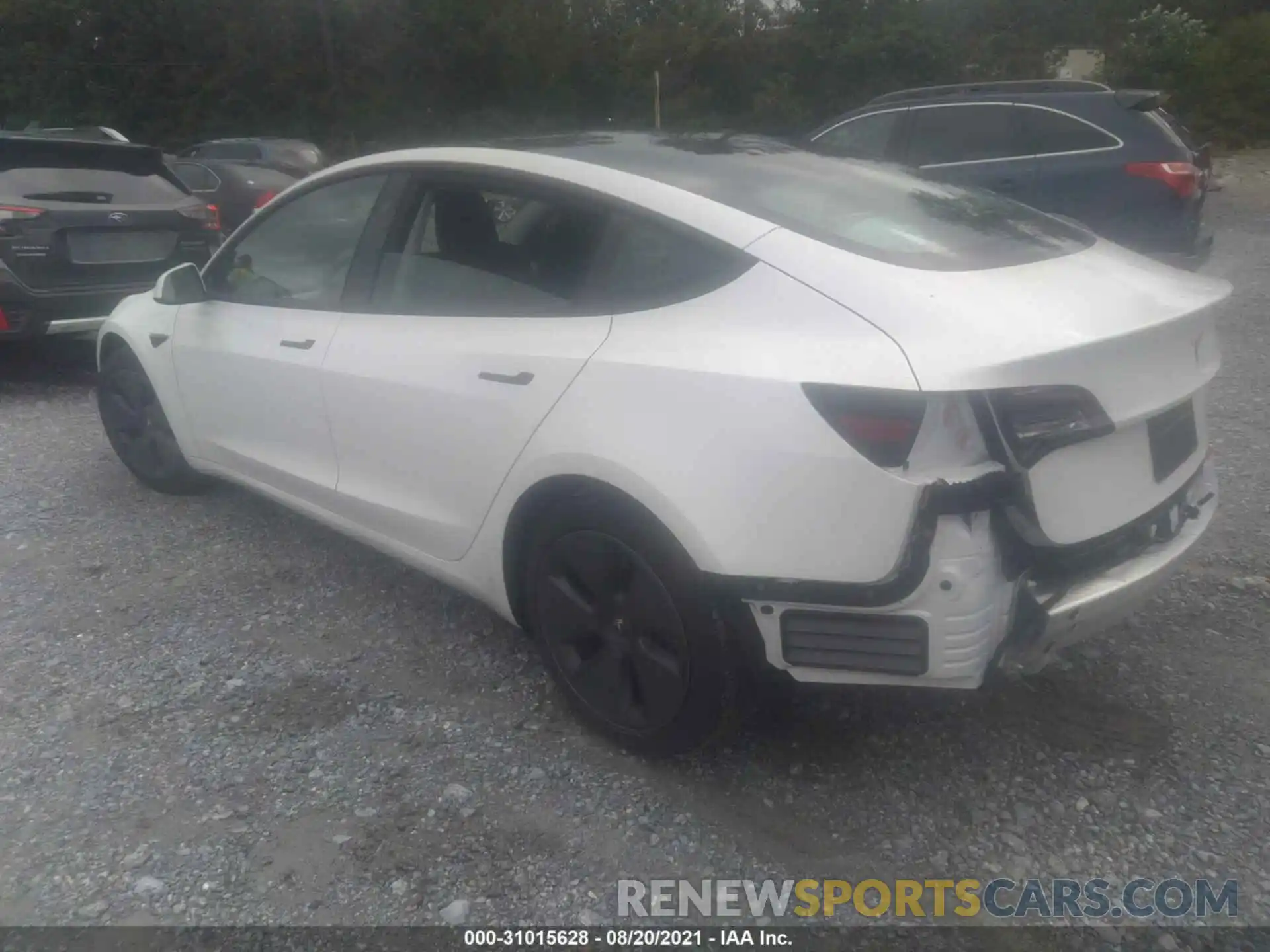 3 Photograph of a damaged car 5YJ3E1EAXMF955546 TESLA MODEL 3 2021