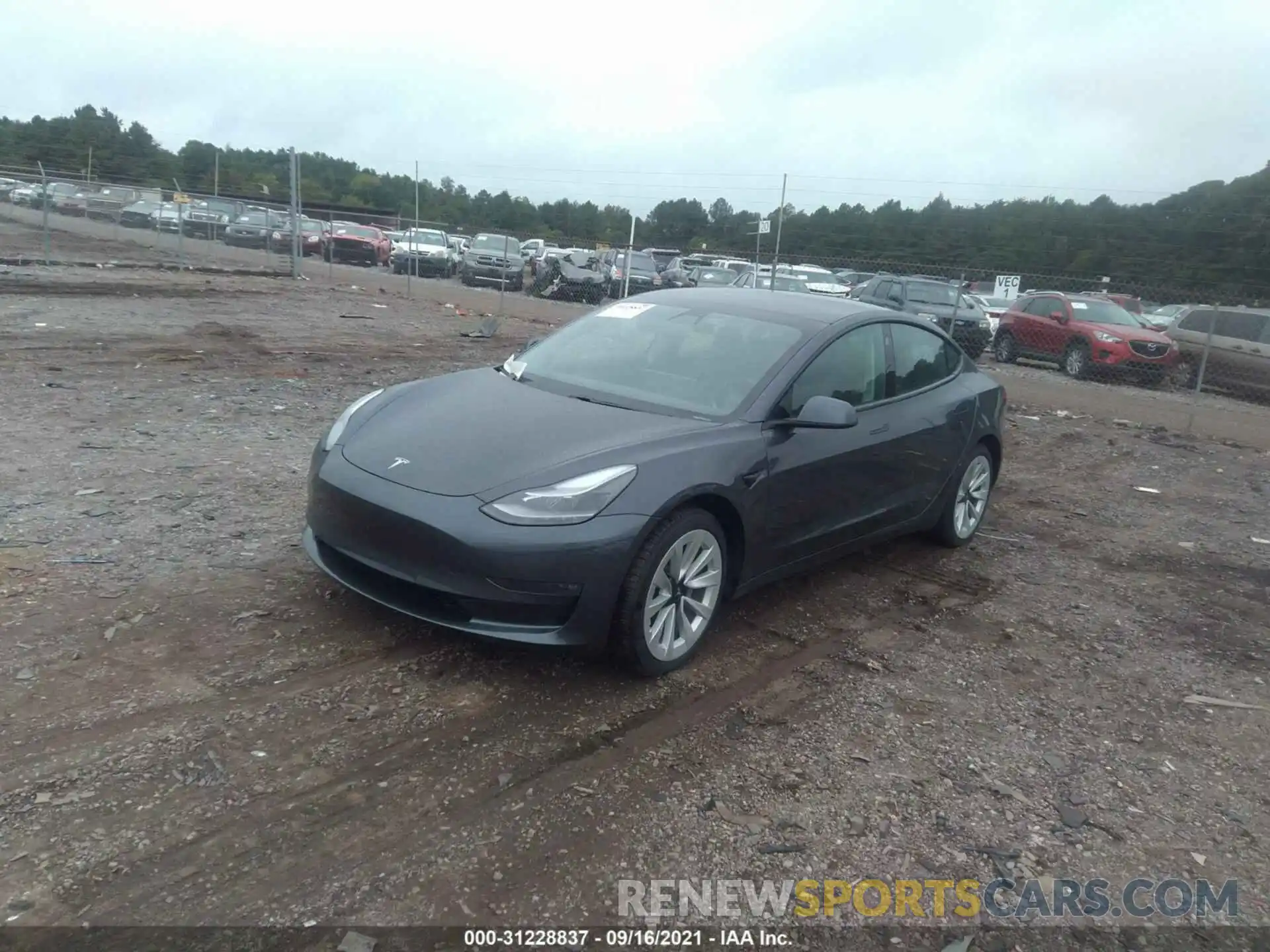 2 Фотография поврежденного автомобиля 5YJ3E1EB8MF960821 TESLA MODEL 3 2021