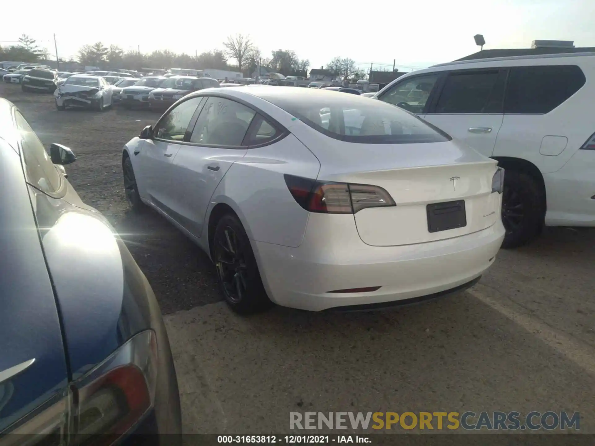 3 Photograph of a damaged car 5YJ3E1EB9MF035738 TESLA MODEL 3 2021