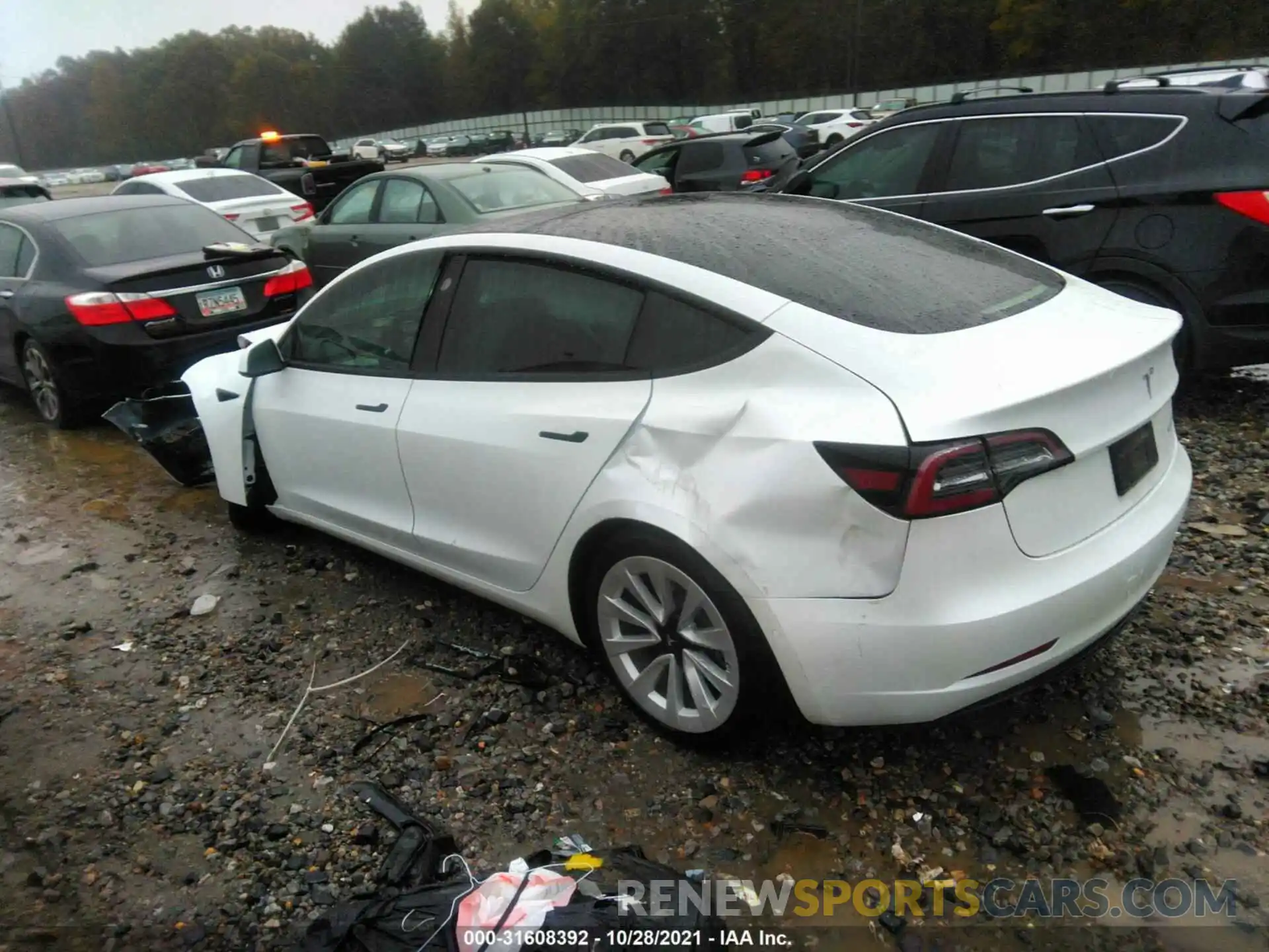 3 Photograph of a damaged car 5YJ3E1EB9MF903463 TESLA MODEL 3 2021