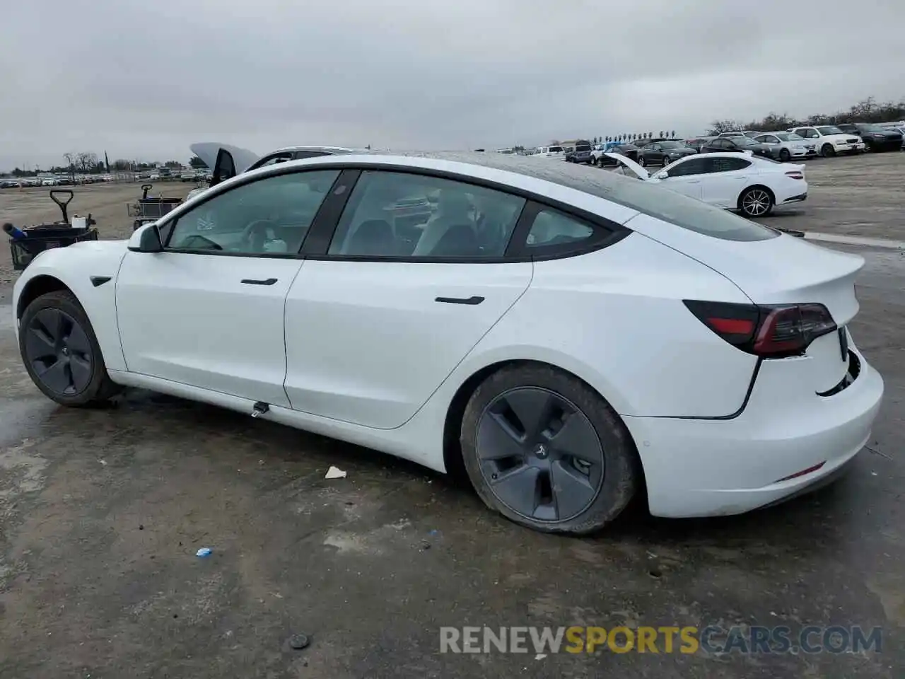 2 Photograph of a damaged car 5YJ3E1EA4NF325880 TESLA MODEL 3 2022