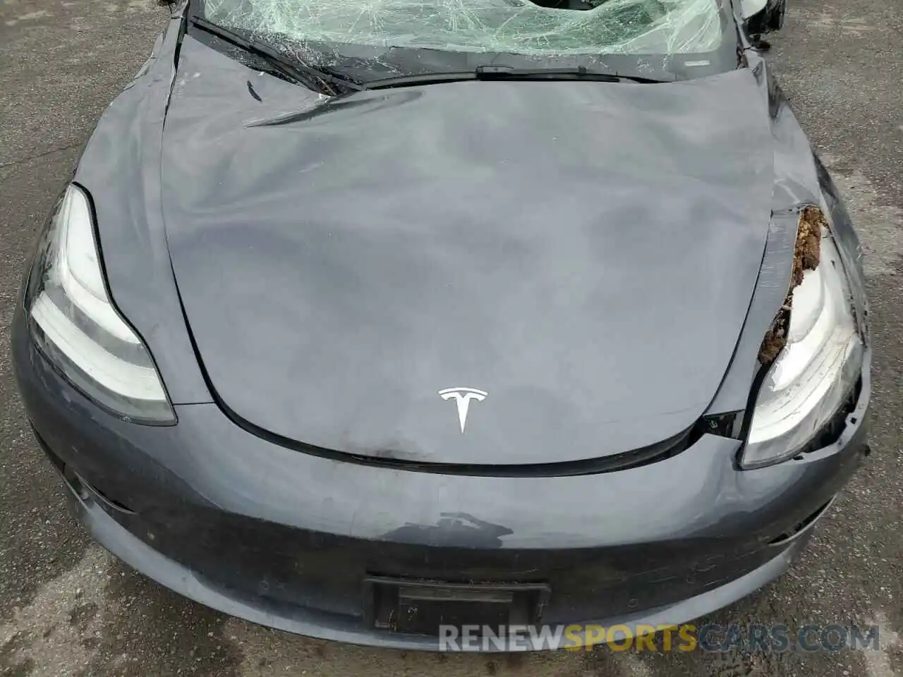 11 Photograph of a damaged car 5YJ3E1EA6NF242970 TESLA MODEL 3 2022