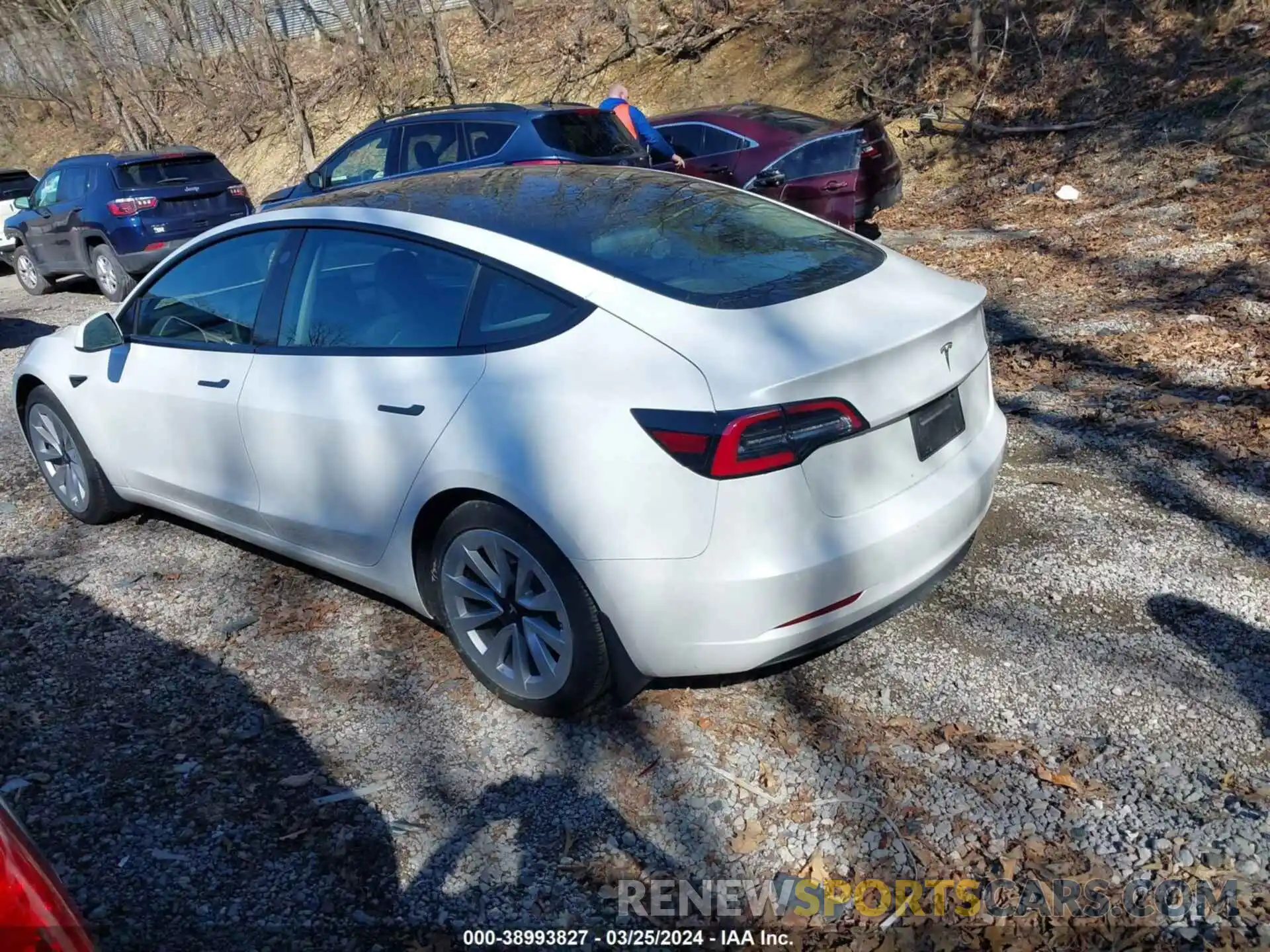 3 Photograph of a damaged car 5YJ3E1EA7NF356704 TESLA MODEL 3 2022