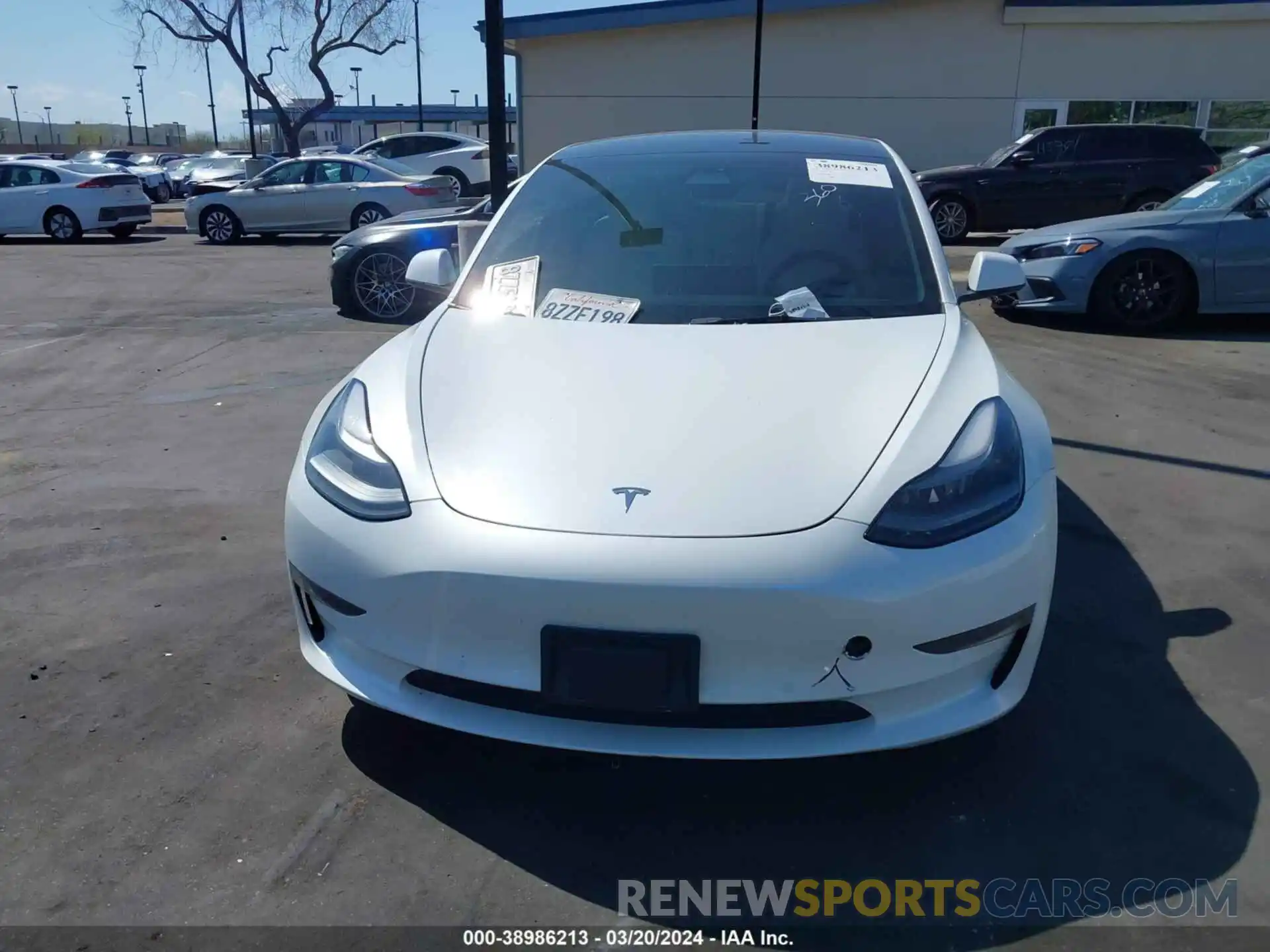 12 Photograph of a damaged car 5YJ3E1EB5NF135451 TESLA MODEL 3 2022