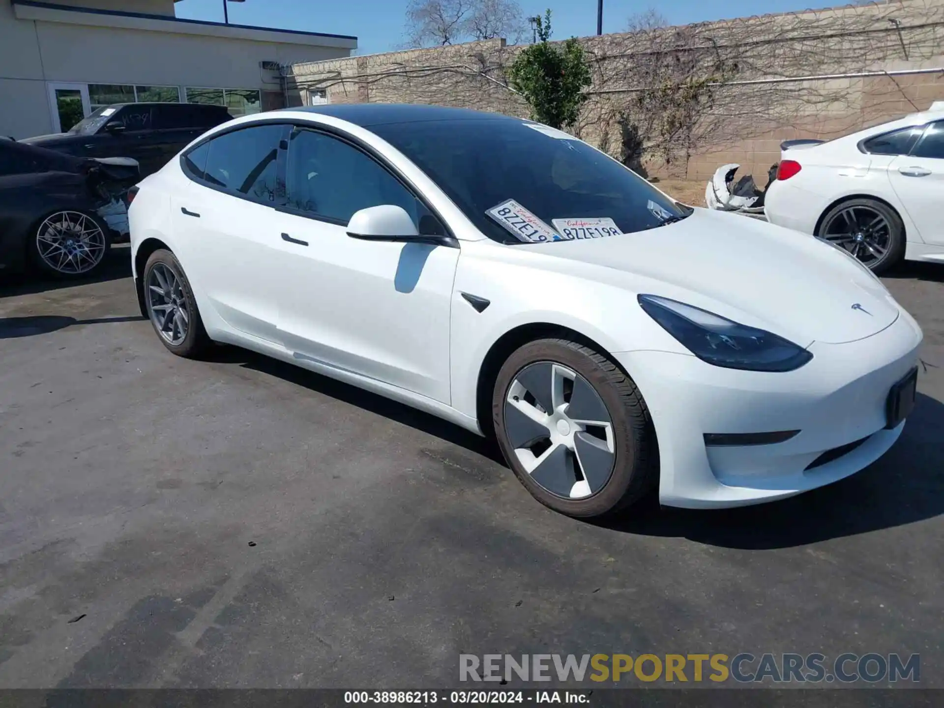 13 Photograph of a damaged car 5YJ3E1EB5NF135451 TESLA MODEL 3 2022