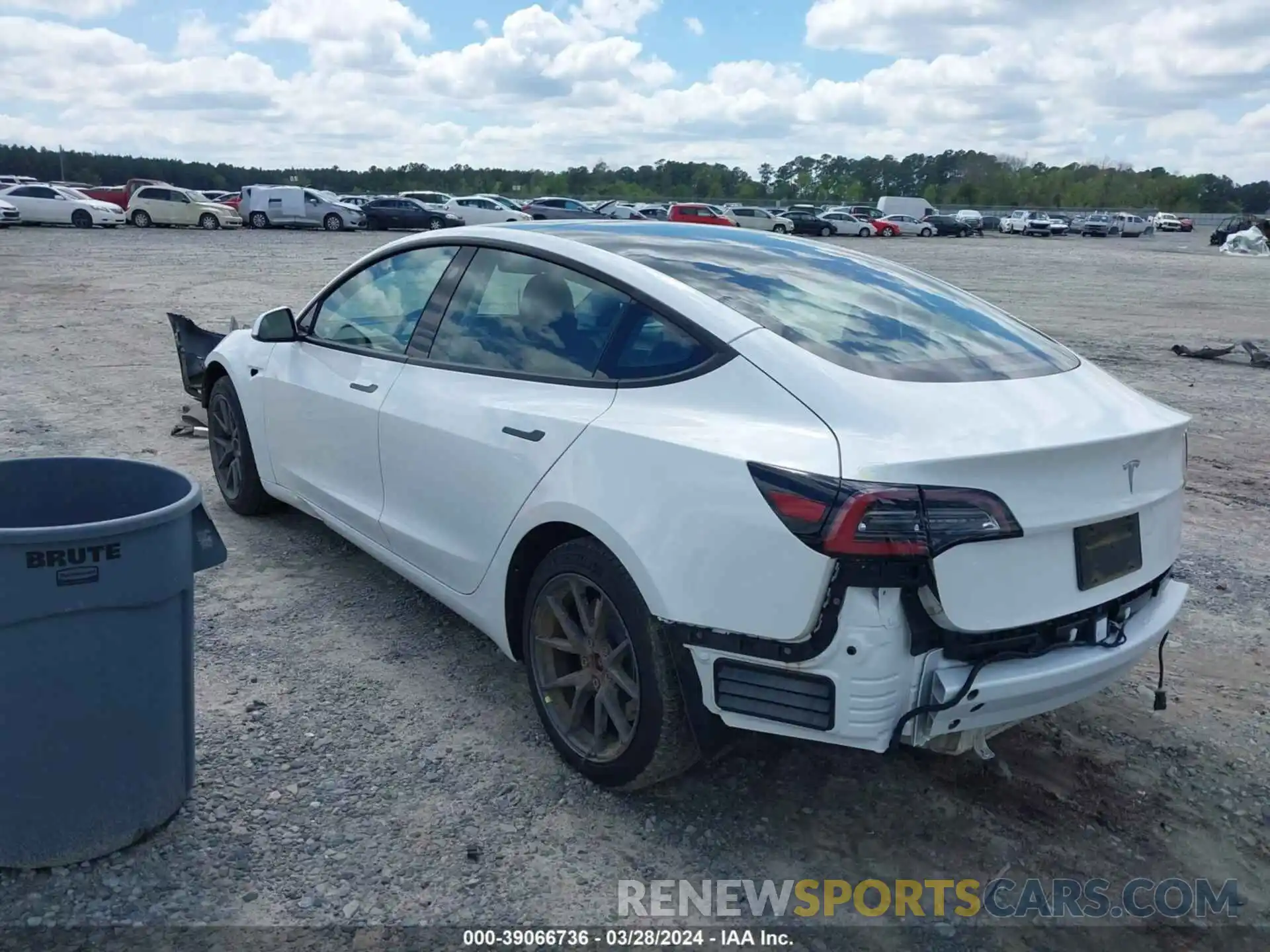 3 Photograph of a damaged car 5YJ3E1EA0PF406572 TESLA MODEL 3 2023