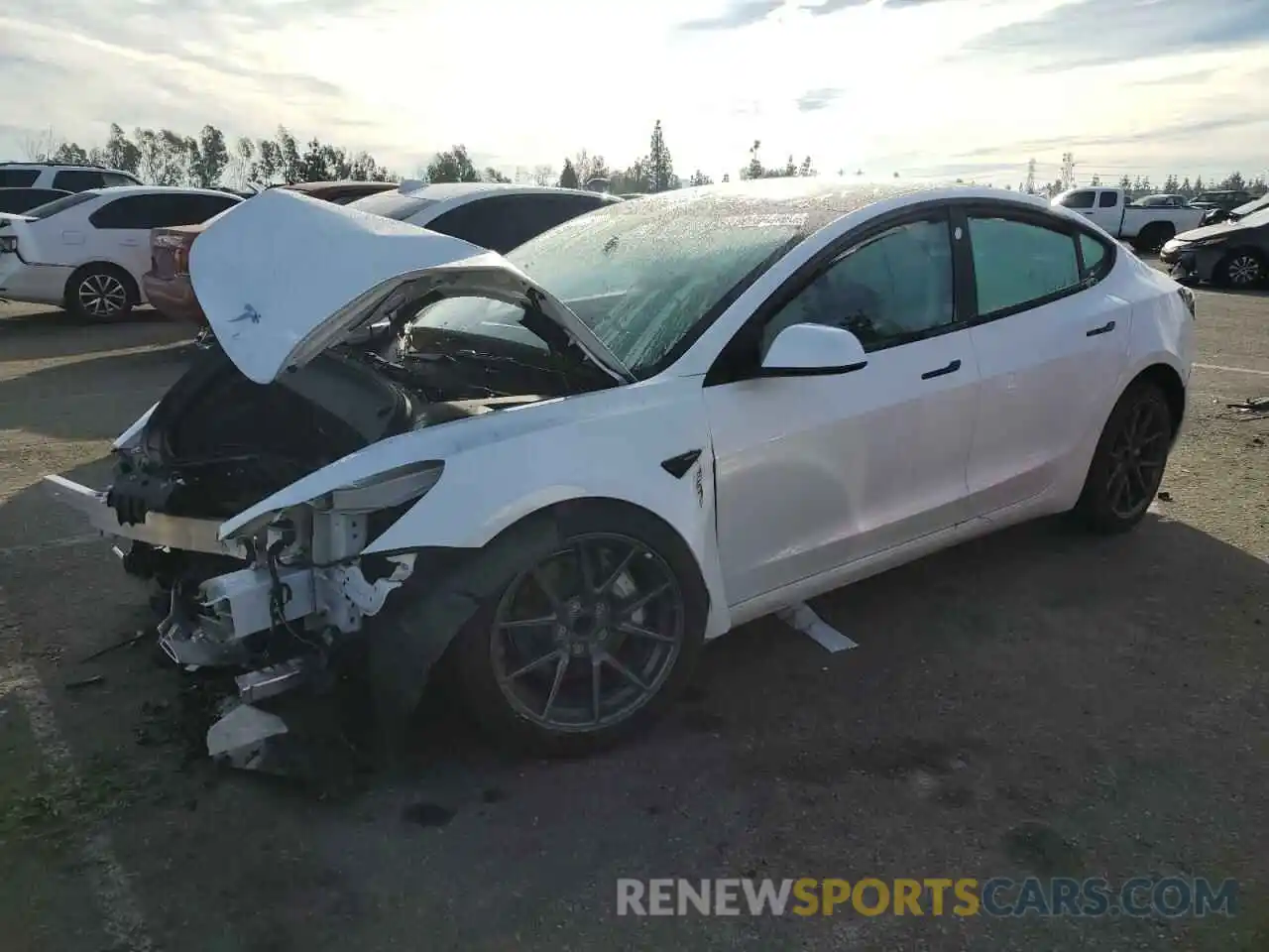 1 Photograph of a damaged car 5YJ3E1EA1PF400831 TESLA MODEL 3 2023