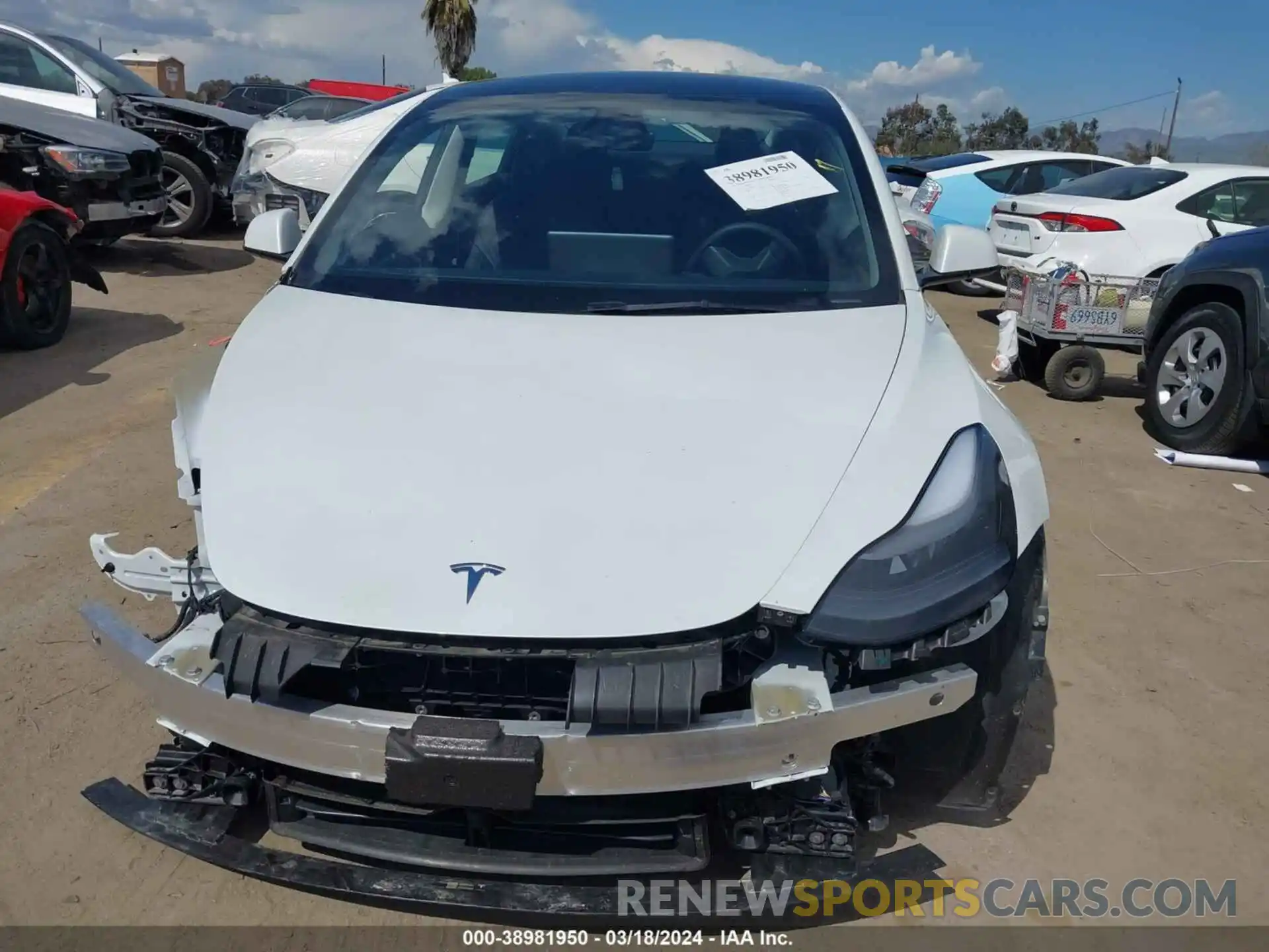 12 Photograph of a damaged car 5YJ3E1EA3PF605681 TESLA MODEL 3 2023