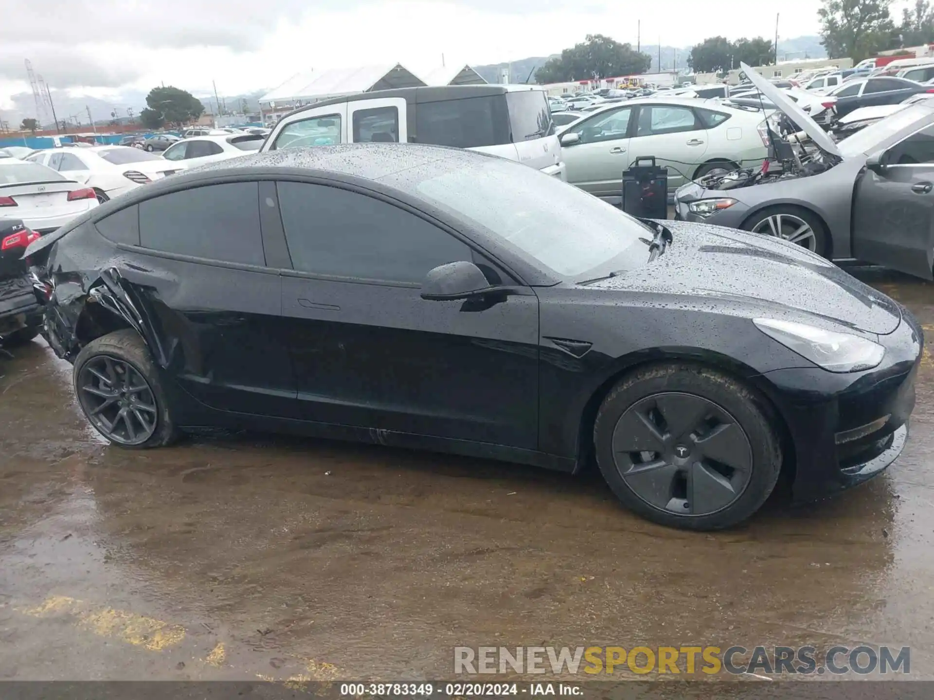 1 Фотография поврежденного автомобиля 5YJ3E1EA5PF465665 TESLA MODEL 3 2023