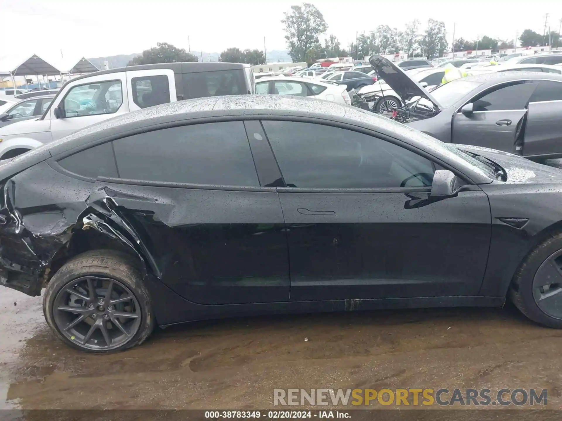 13 Photograph of a damaged car 5YJ3E1EA5PF465665 TESLA MODEL 3 2023