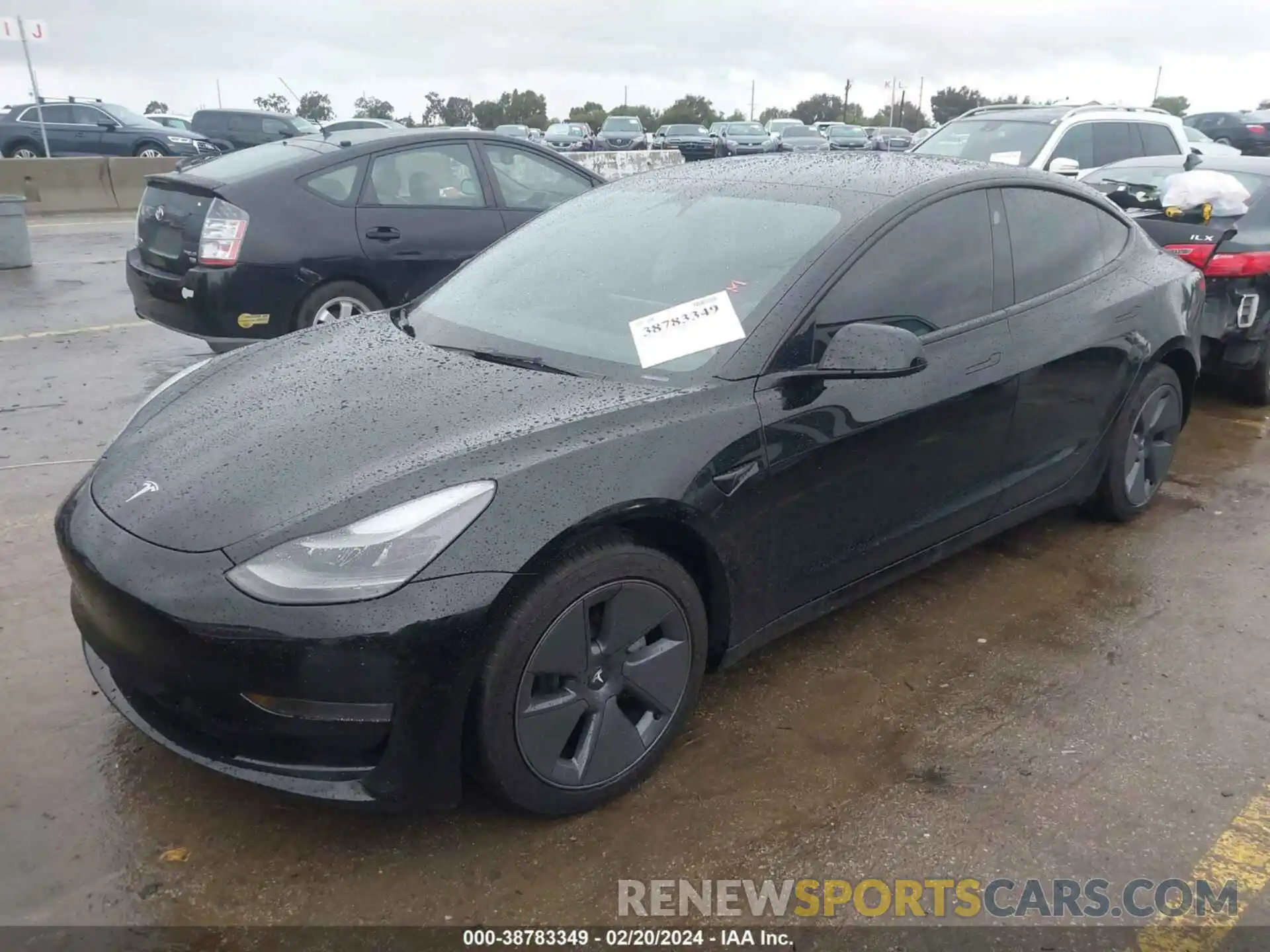 2 Фотография поврежденного автомобиля 5YJ3E1EA5PF465665 TESLA MODEL 3 2023