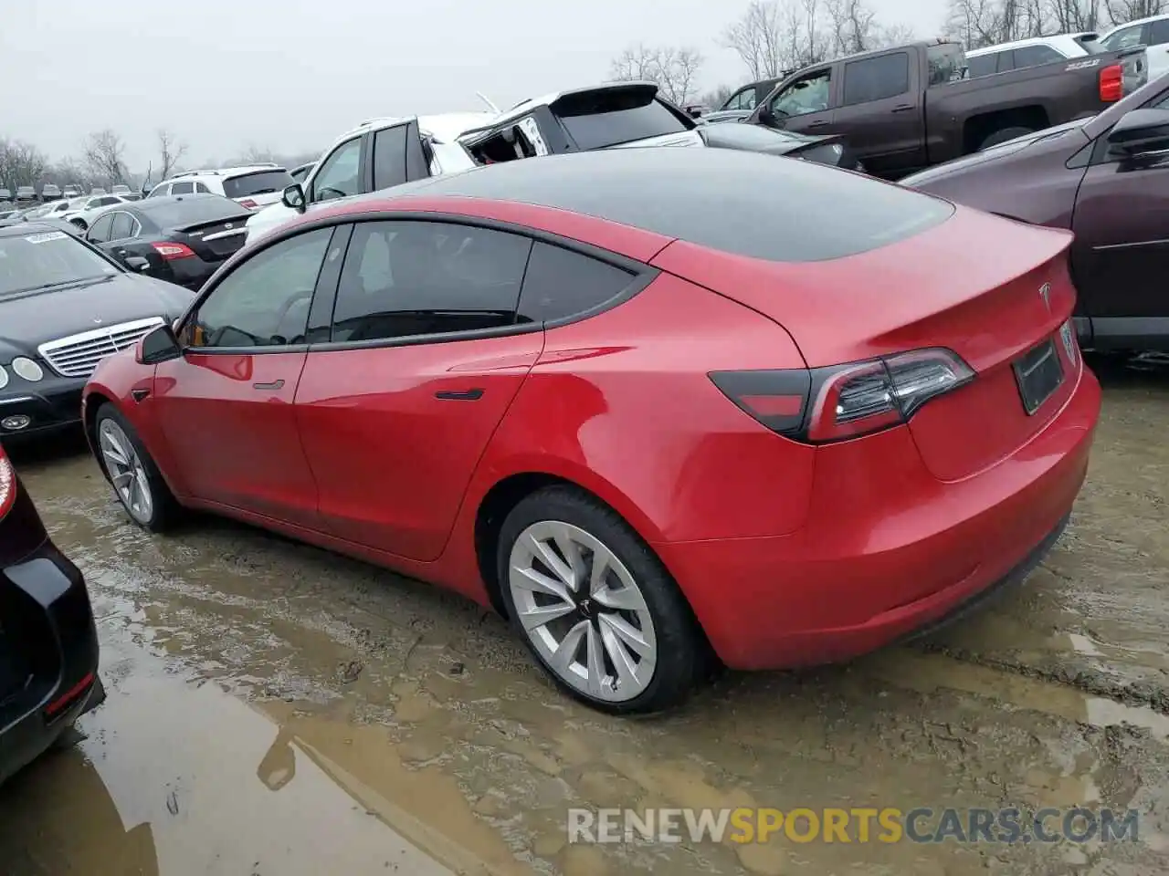 2 Photograph of a damaged car 5YJ3E1EA5PF495667 TESLA MODEL 3 2023