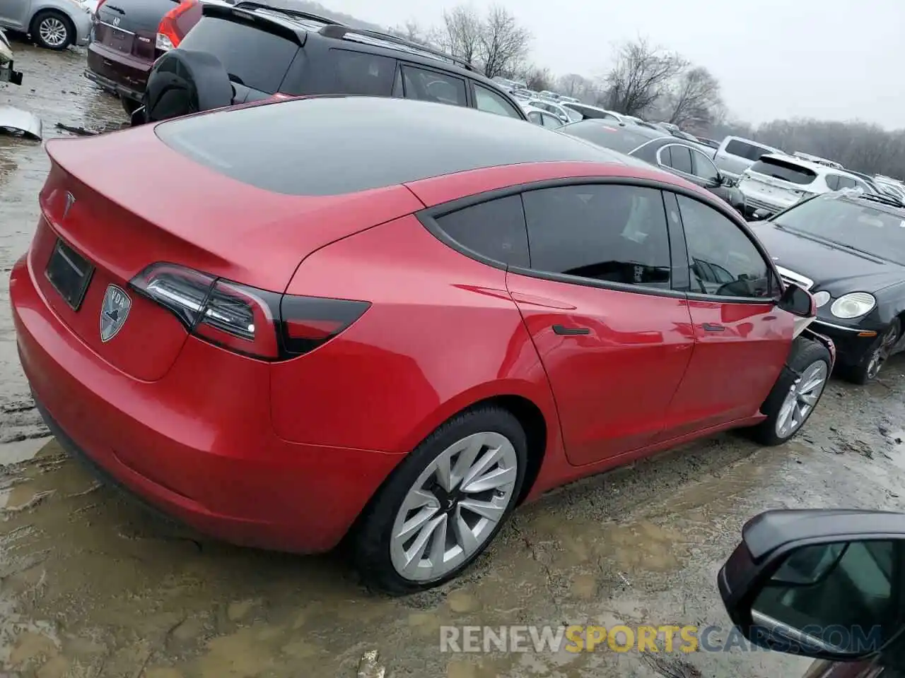 3 Photograph of a damaged car 5YJ3E1EA5PF495667 TESLA MODEL 3 2023