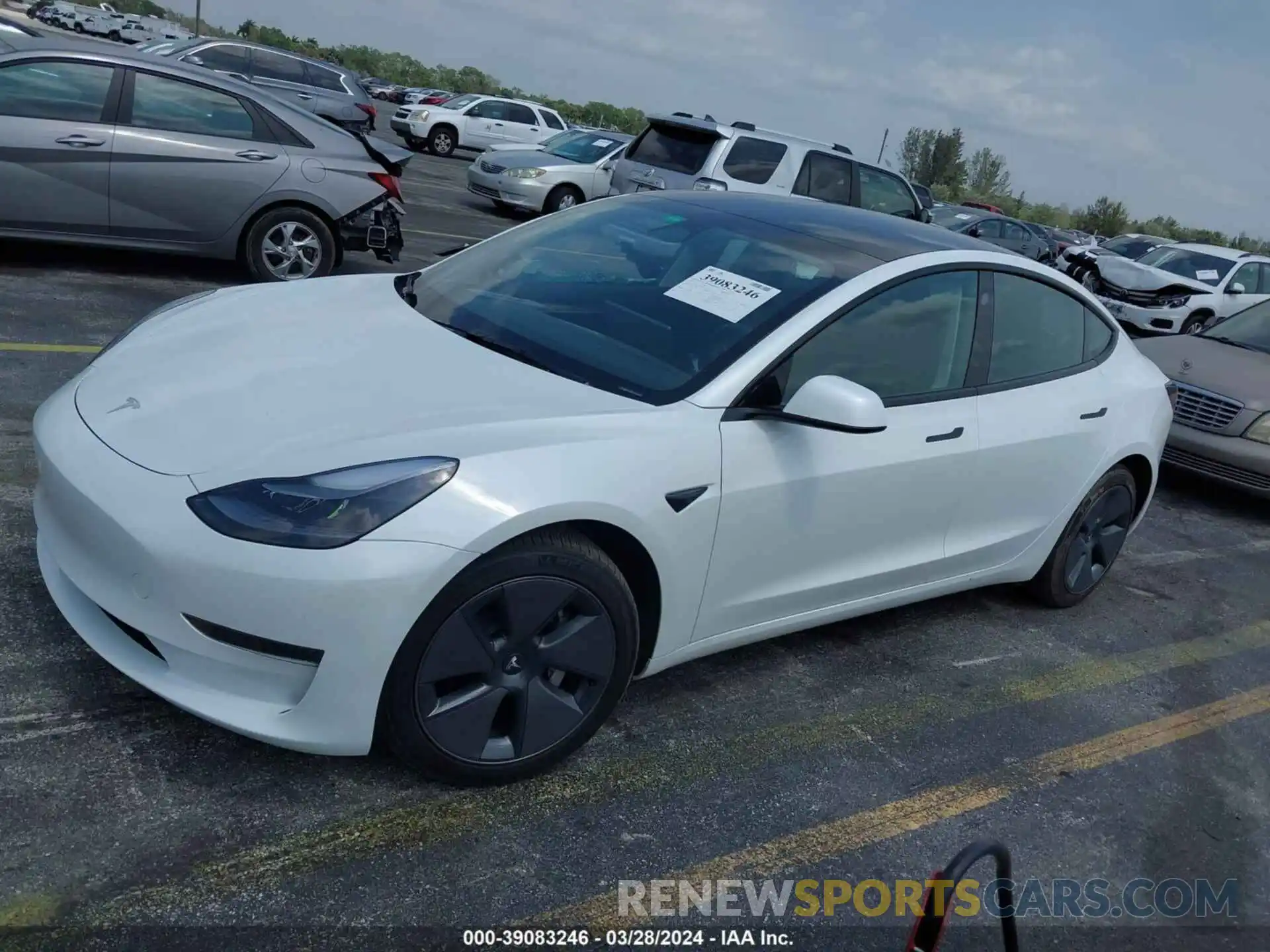 2 Photograph of a damaged car 5YJ3E1EA5PF505694 TESLA MODEL 3 2023