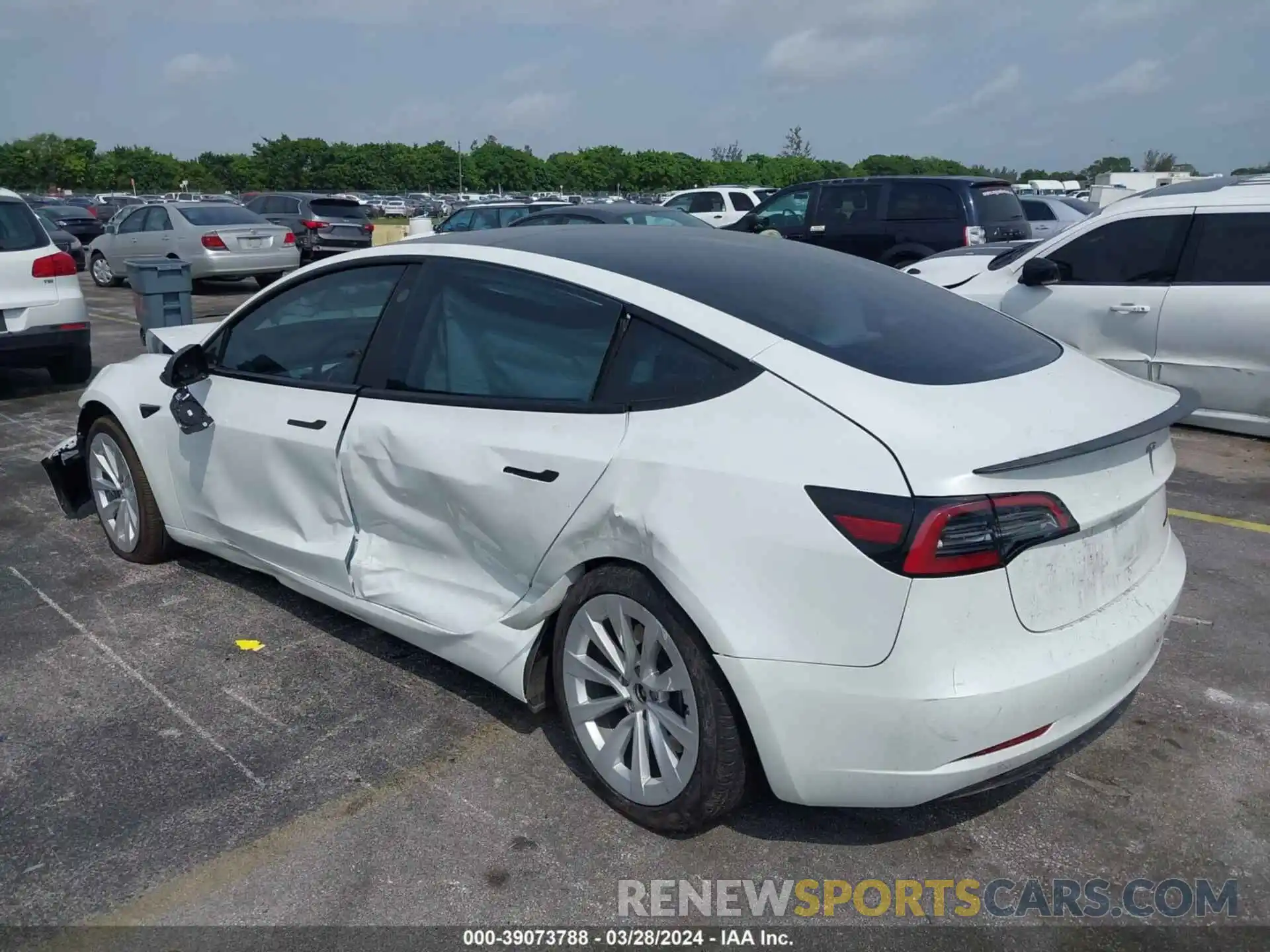 3 Photograph of a damaged car 5YJ3E1EA5PF510541 TESLA MODEL 3 2023