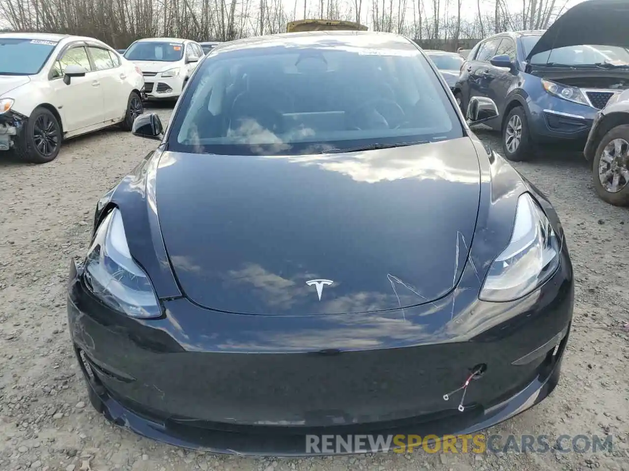 5 Photograph of a damaged car 5YJ3E1EA5PF669883 TESLA MODEL 3 2023