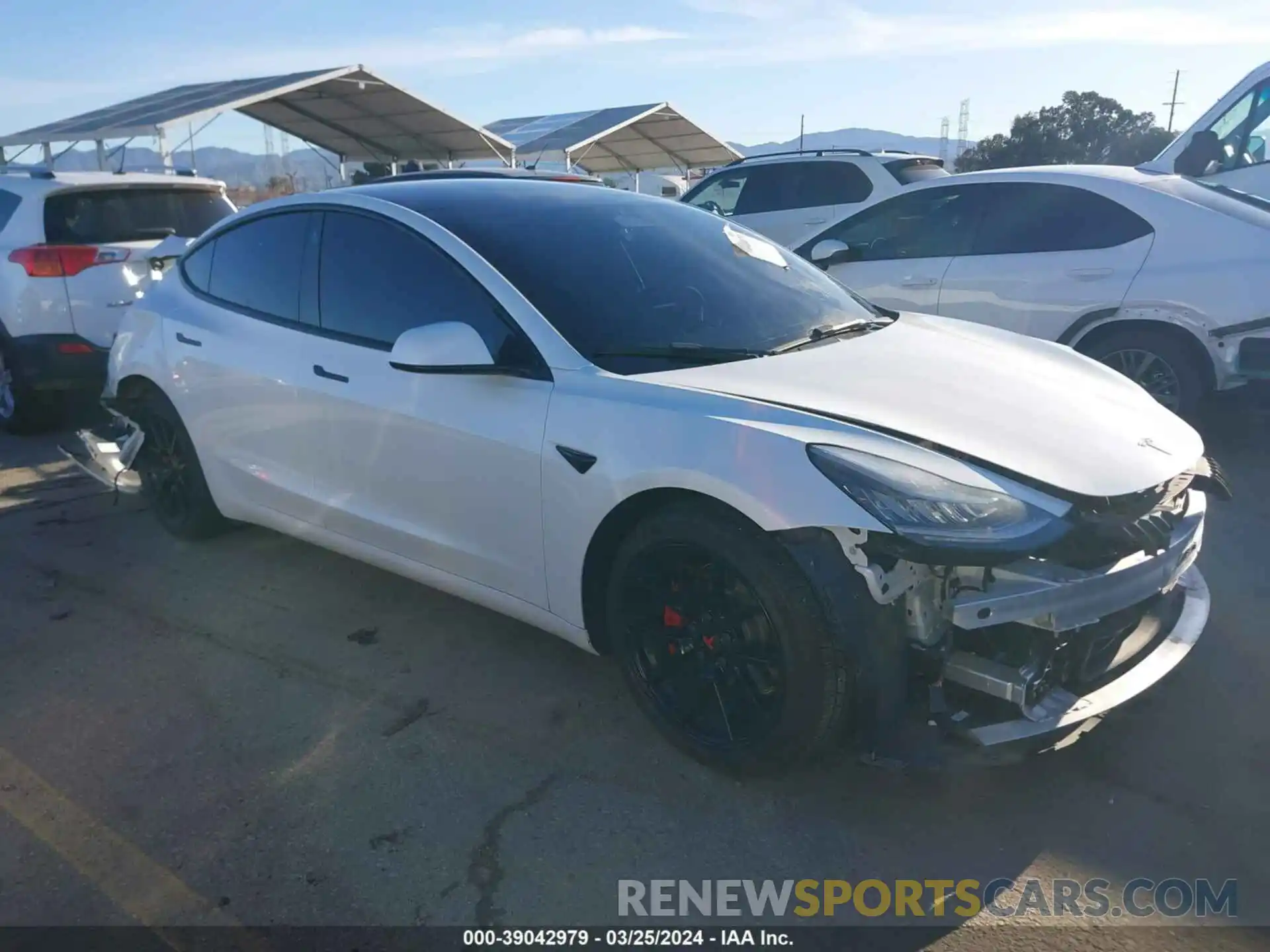 1 Photograph of a damaged car 5YJ3E1EA6PF401912 TESLA MODEL 3 2023