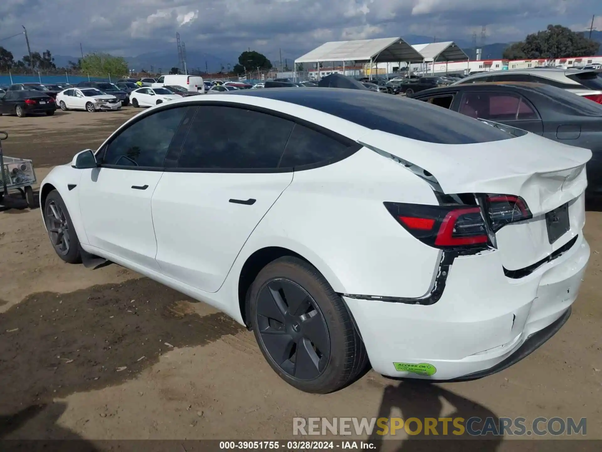 3 Photograph of a damaged car 5YJ3E1EA6PF417107 TESLA MODEL 3 2023