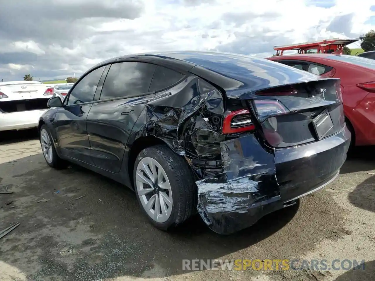 2 Photograph of a damaged car 5YJ3E1EA6PF490431 TESLA MODEL 3 2023