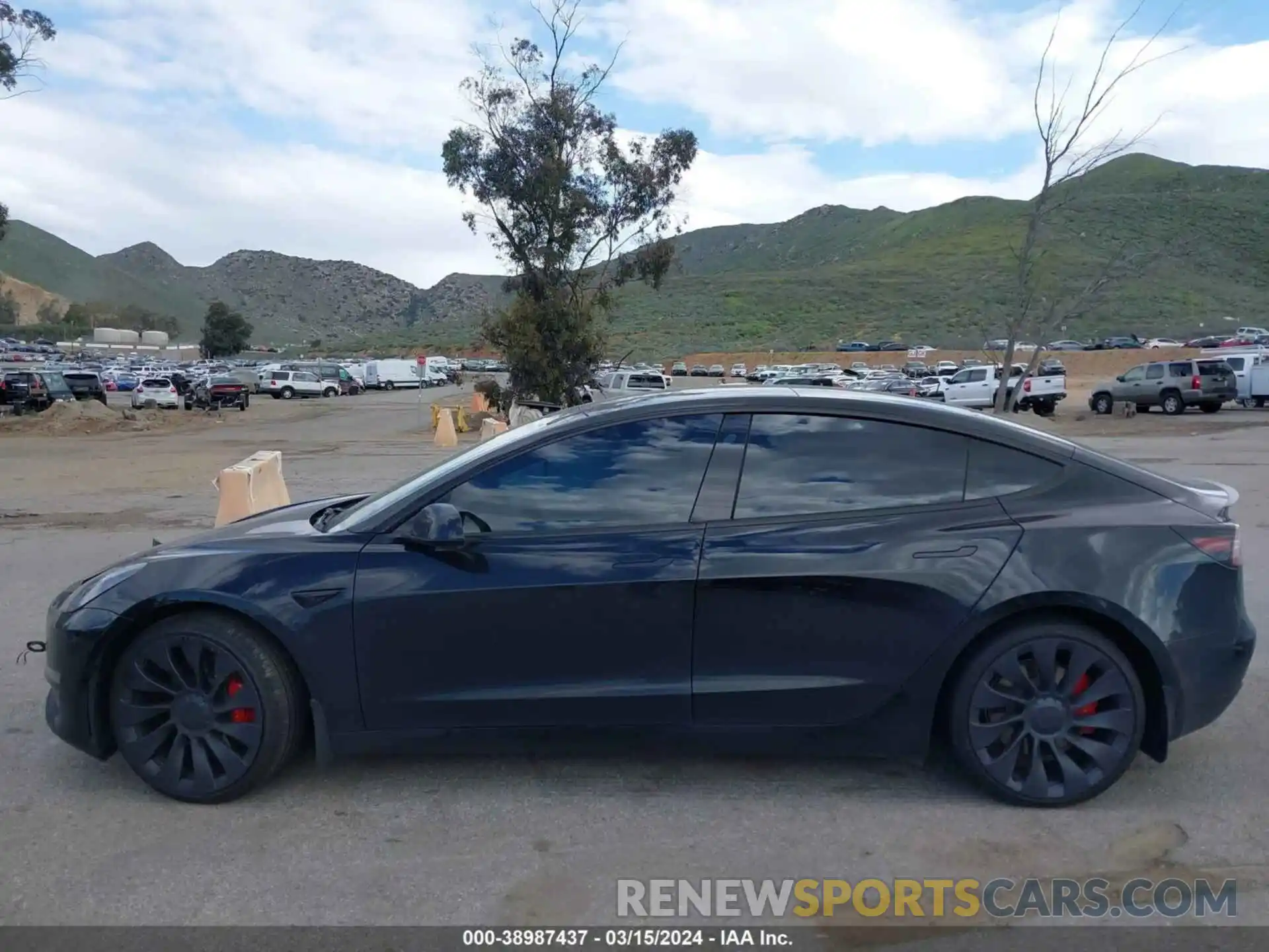 14 Photograph of a damaged car 5YJ3E1EC5PF588836 TESLA MODEL 3 2023