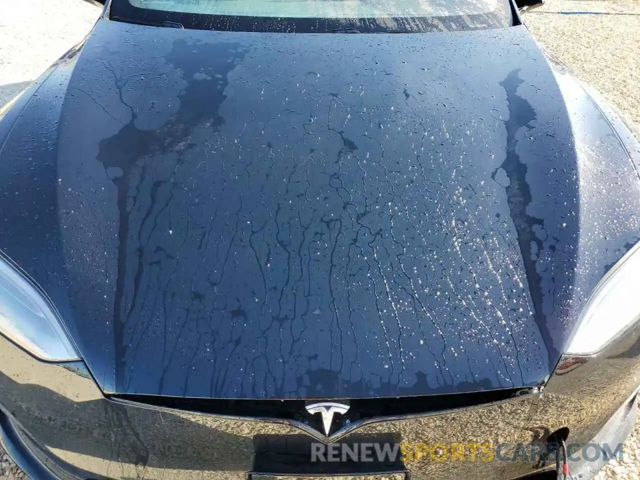 7 Photograph of a damaged car 5YJSA1E58MF455427 TESLA MODEL S 2021