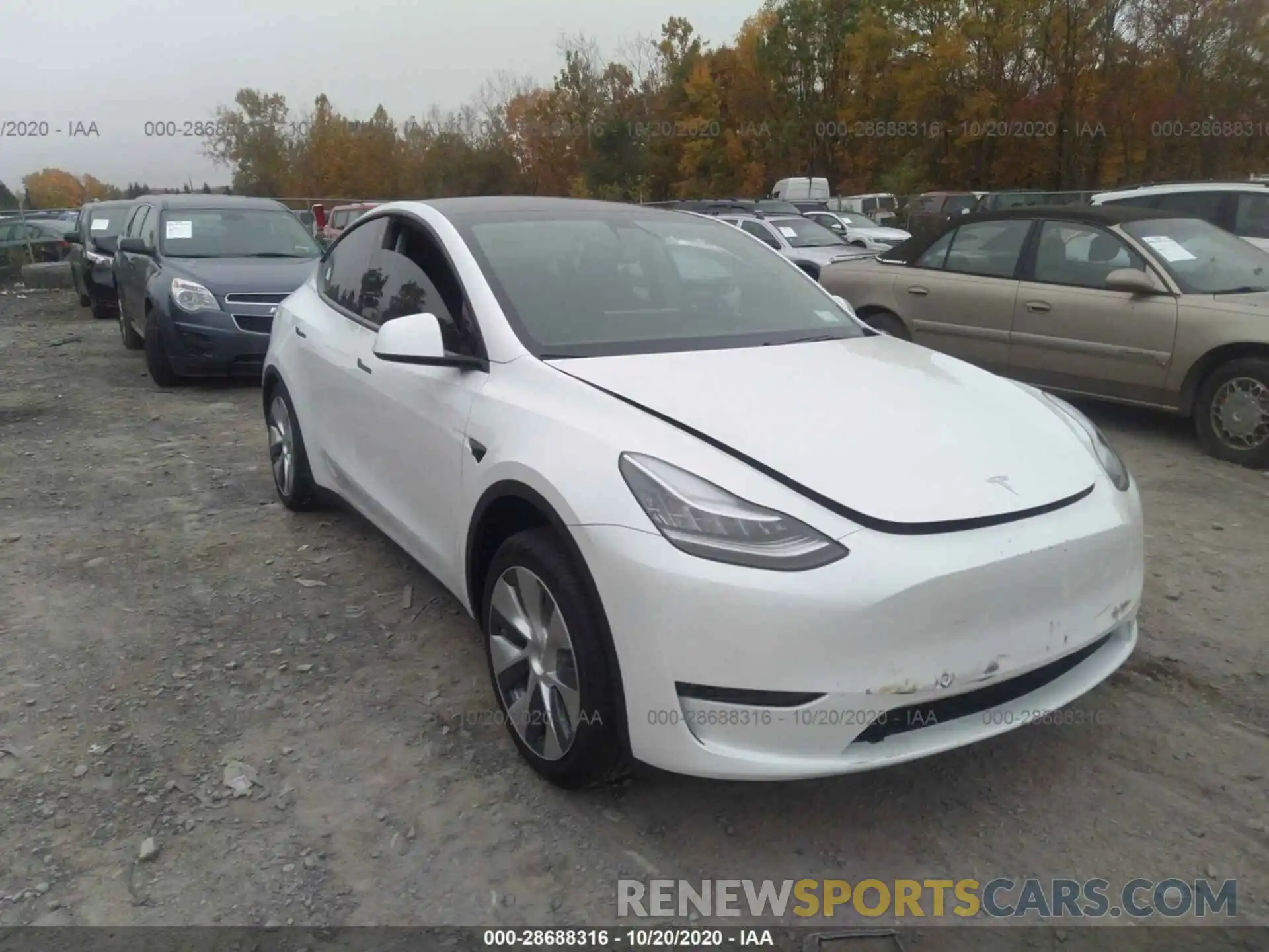 1 Photograph of a damaged car 5YJYGDEF4LF005551 TESLA MODEL Y 2020