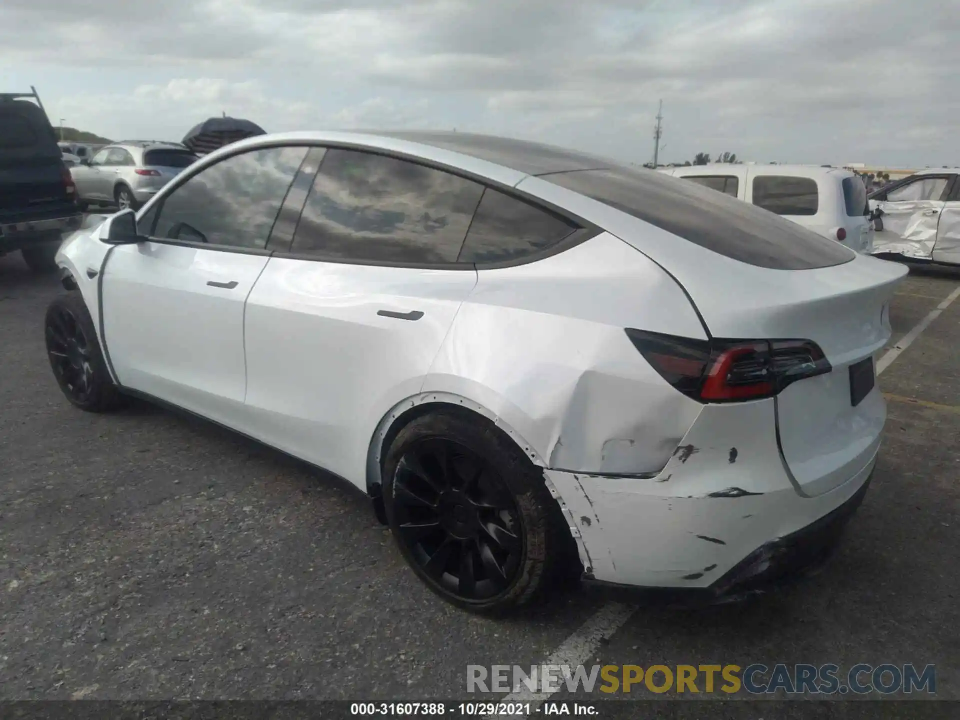 3 Photograph of a damaged car 5YJYGDED3MF108959 TESLA MODEL Y 2021