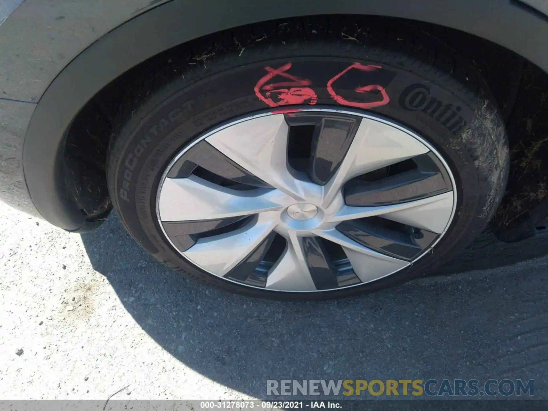 14 Photograph of a damaged car 5YJYGDEE0MF064749 TESLA MODEL Y 2021