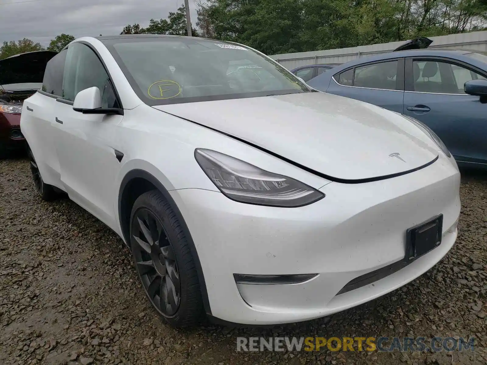 1 Фотография поврежденного автомобиля 5YJYGDEE0MF065349 TESLA MODEL Y 2021