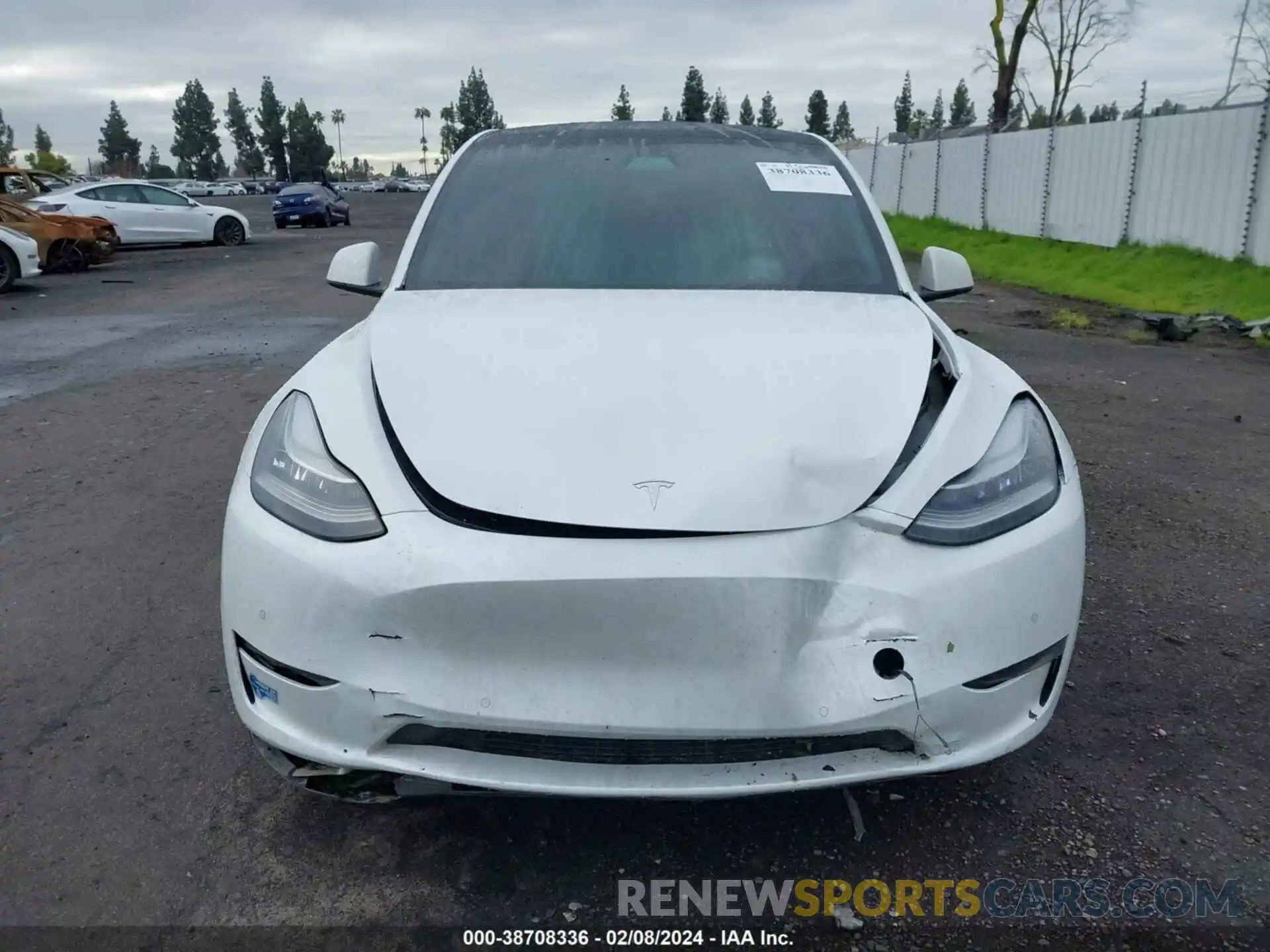 12 Photograph of a damaged car 5YJYGDEE1MF112369 TESLA MODEL Y 2021