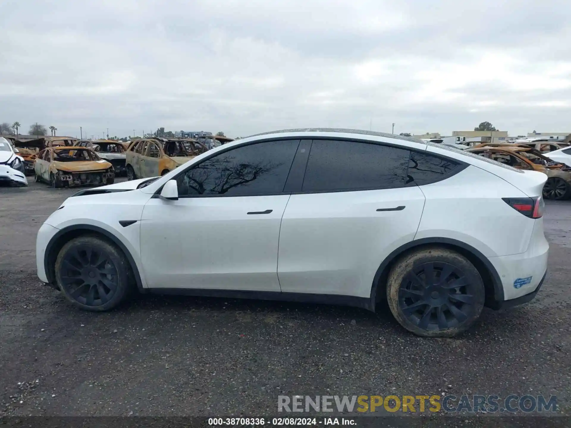 14 Photograph of a damaged car 5YJYGDEE1MF112369 TESLA MODEL Y 2021