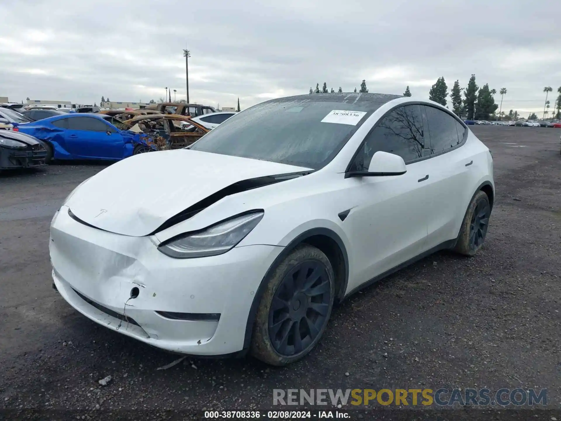 2 Photograph of a damaged car 5YJYGDEE1MF112369 TESLA MODEL Y 2021