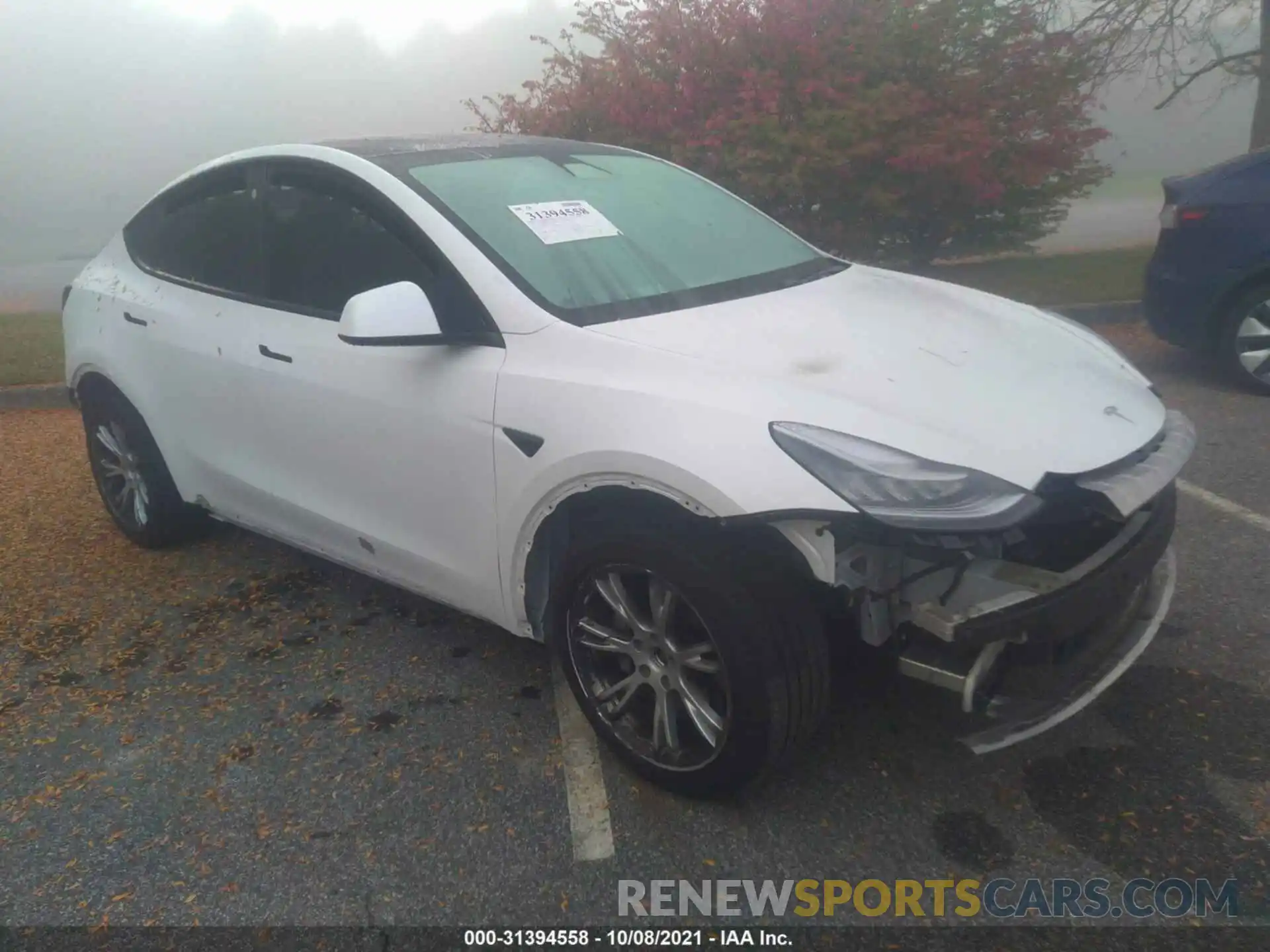 1 Photograph of a damaged car 5YJYGDEE3MF066303 TESLA MODEL Y 2021