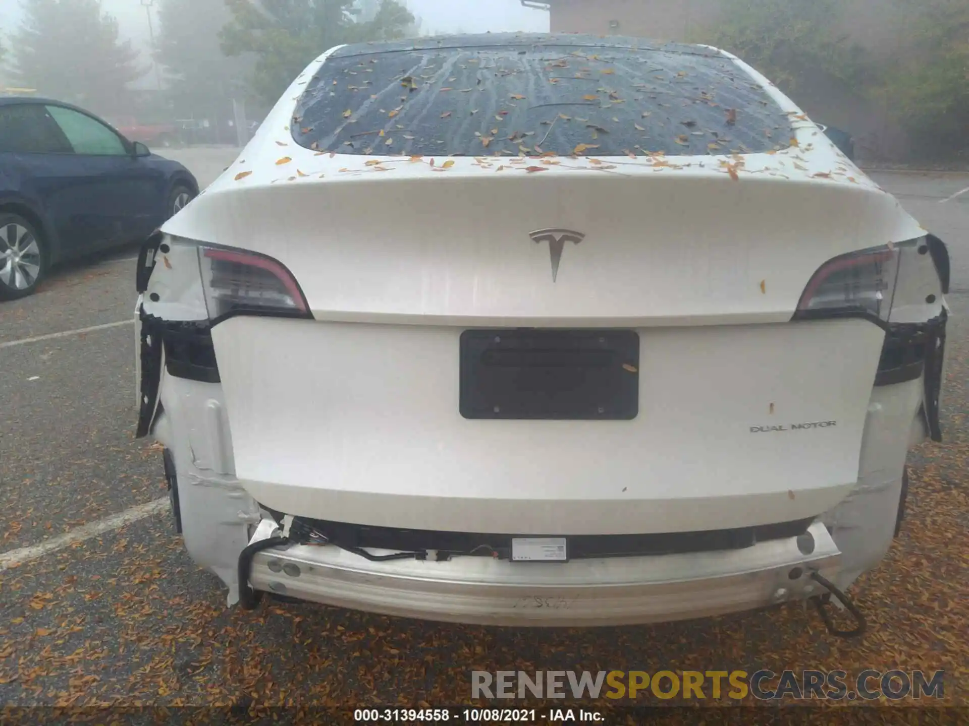 11 Photograph of a damaged car 5YJYGDEE3MF066303 TESLA MODEL Y 2021