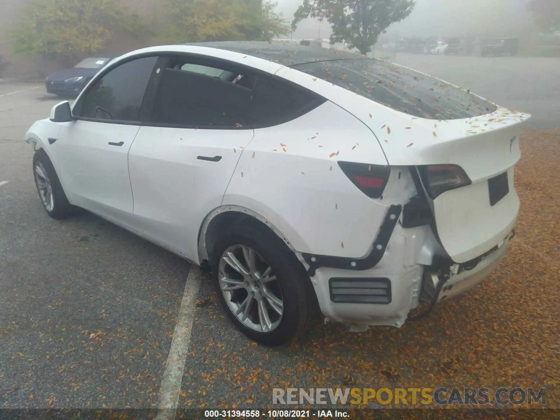 3 Photograph of a damaged car 5YJYGDEE3MF066303 TESLA MODEL Y 2021