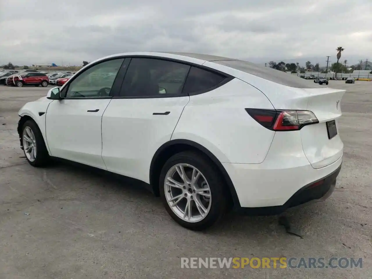 3 Photograph of a damaged car 5YJYGDEE3MF075499 TESLA MODEL Y 2021