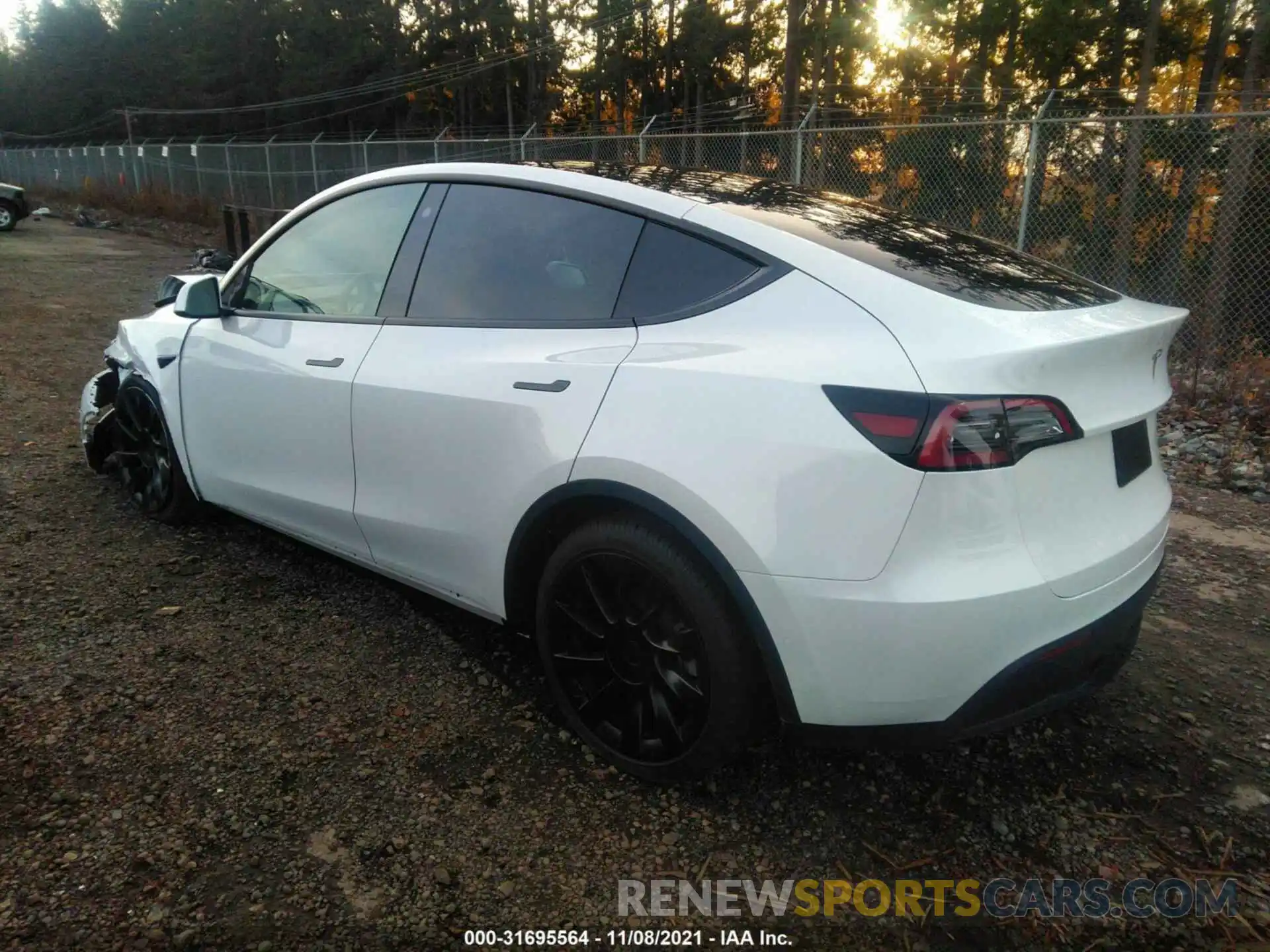 3 Фотография поврежденного автомобиля 5YJYGDEE3MF229452 TESLA MODEL Y 2021