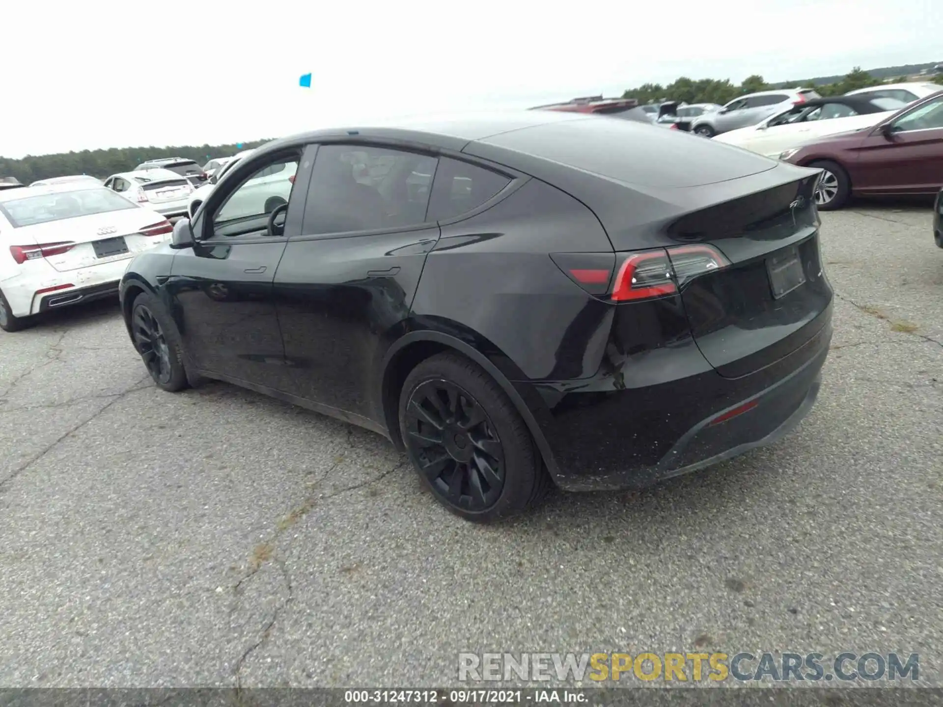 3 Photograph of a damaged car 5YJYGDEE4MF091226 TESLA MODEL Y 2021