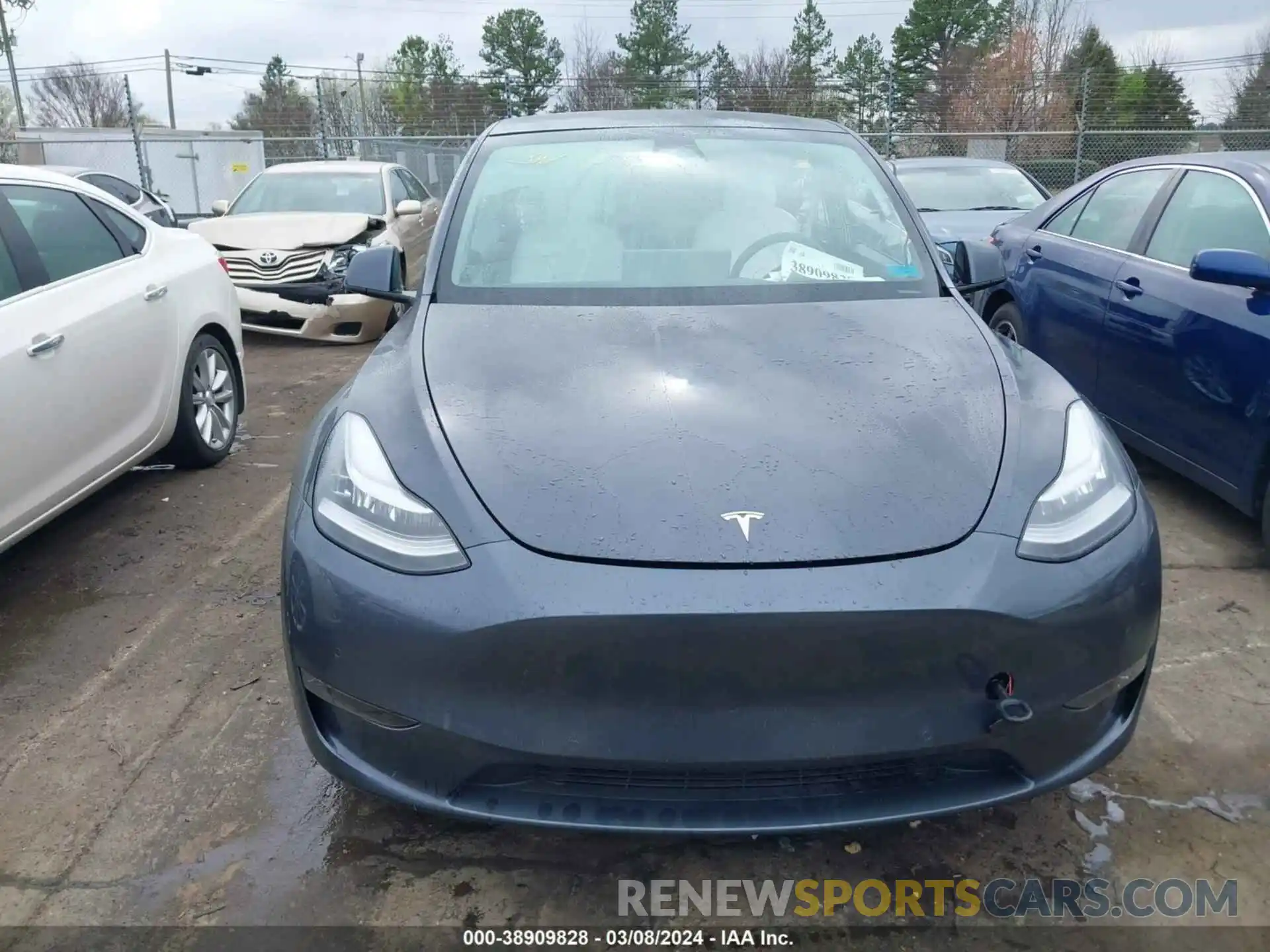 12 Photograph of a damaged car 5YJYGDEE5MF262405 TESLA MODEL Y 2021