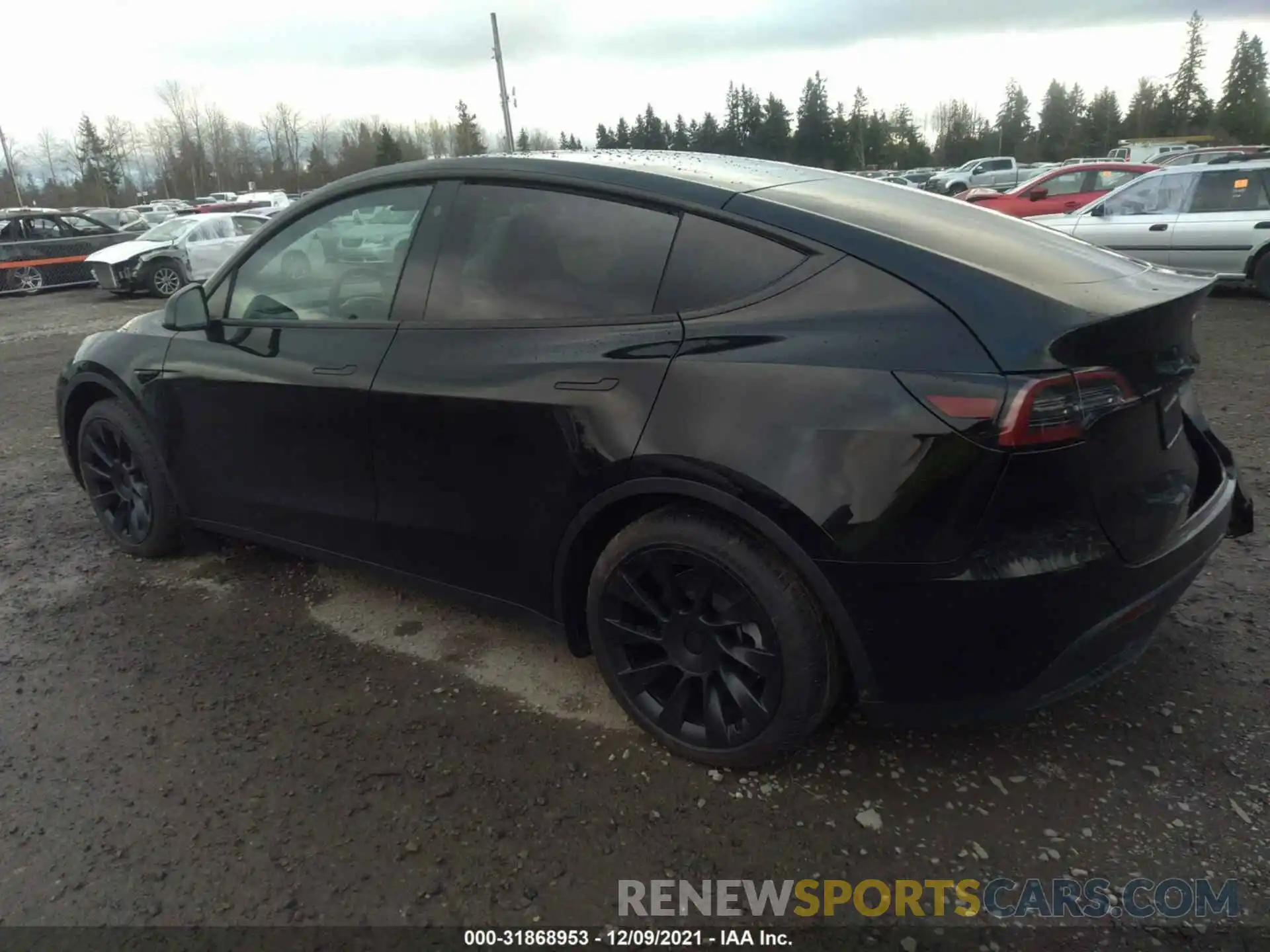 3 Фотография поврежденного автомобиля 5YJYGDEE6MF199623 TESLA MODEL Y 2021