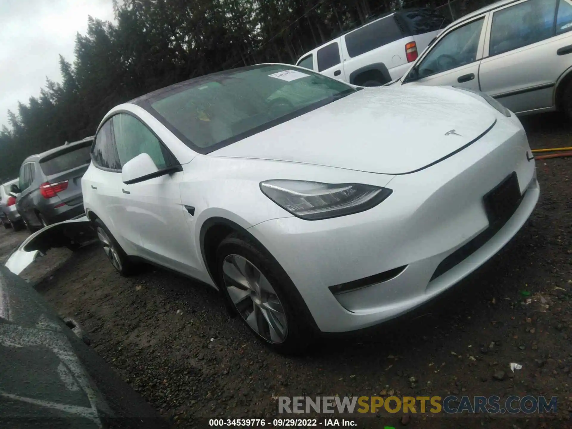 1 Photograph of a damaged car 5YJYGDEE7MF300944 TESLA MODEL Y 2021