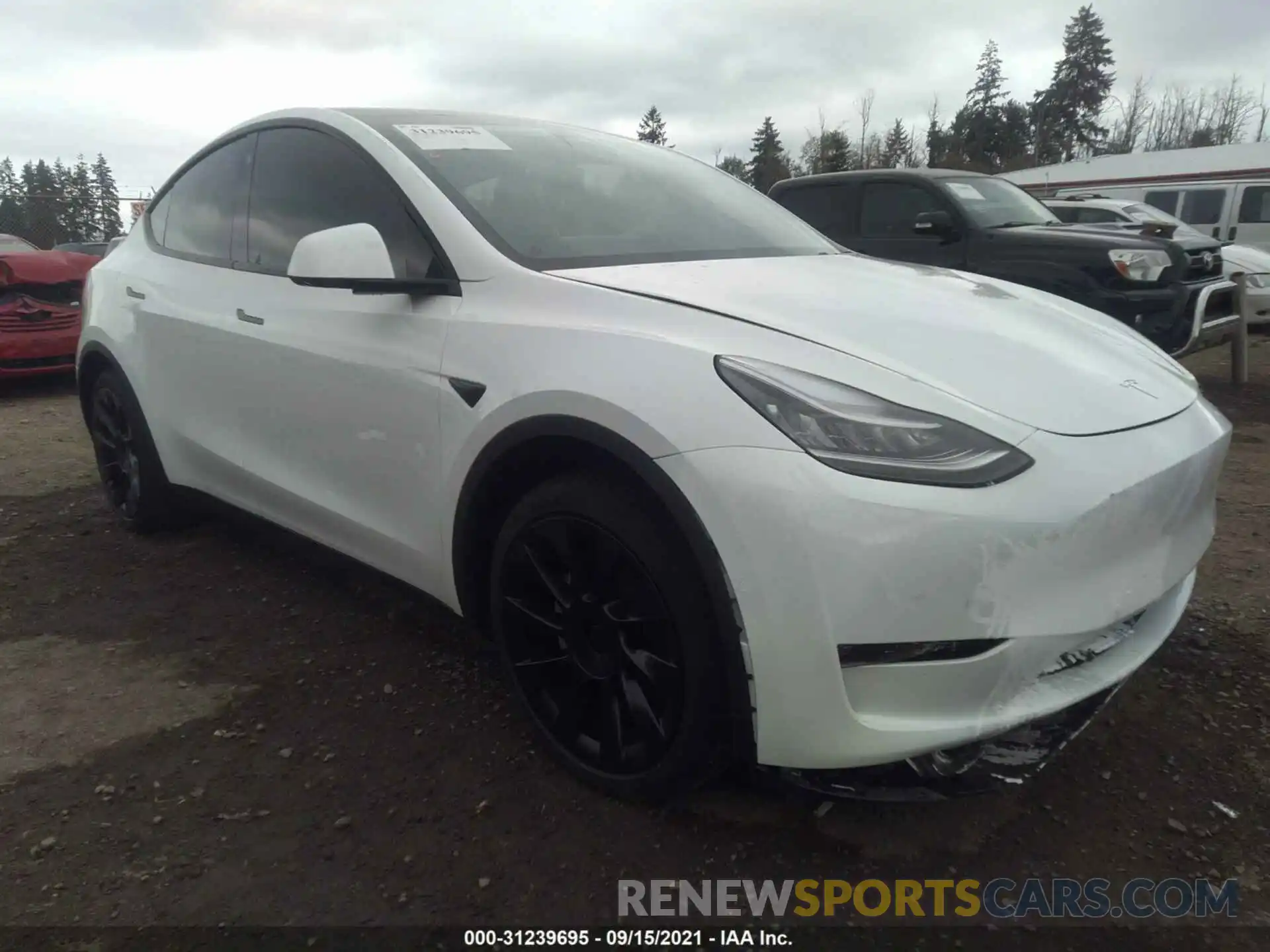 1 Photograph of a damaged car 5YJYGDEE8MF138984 TESLA MODEL Y 2021