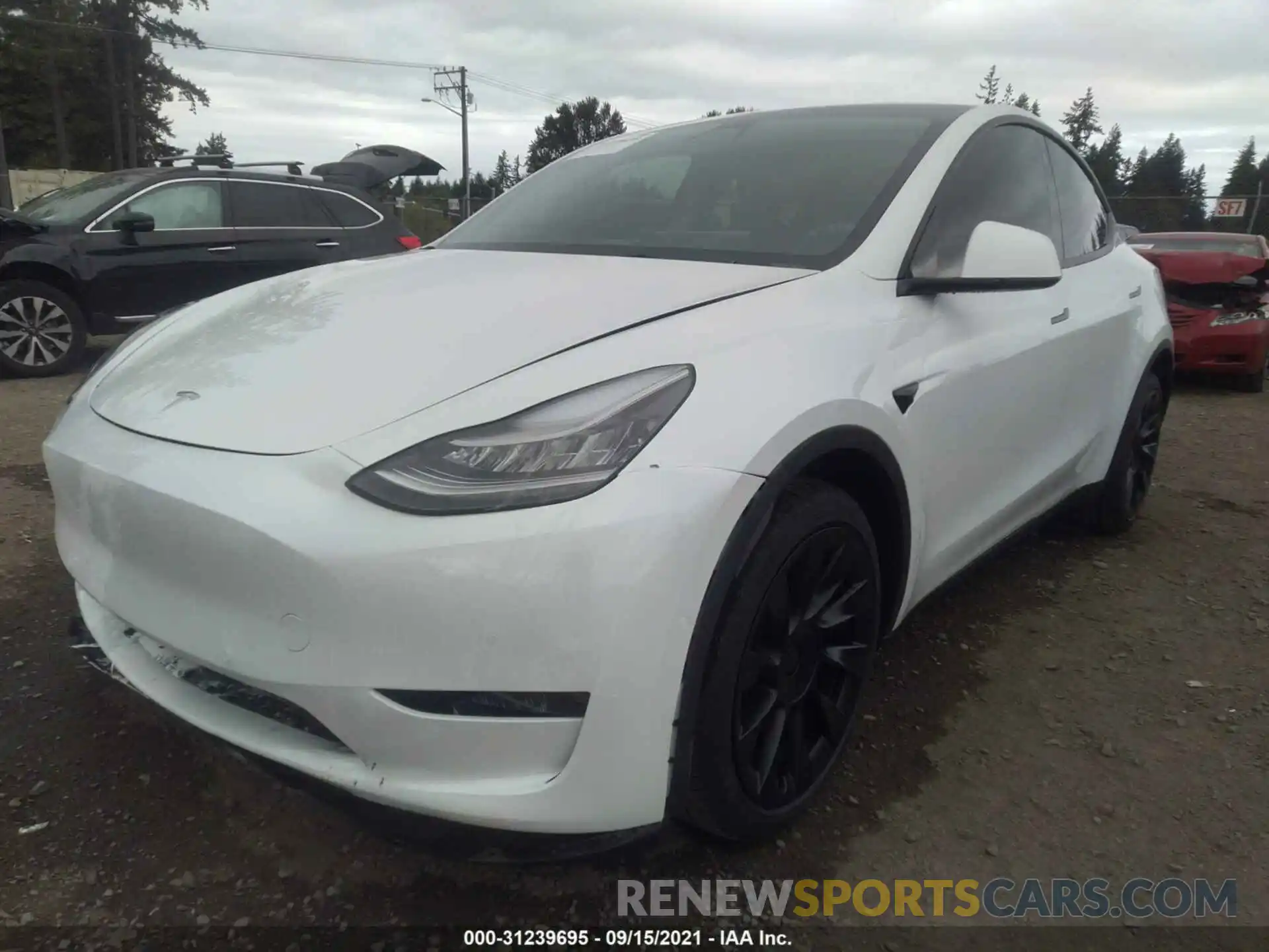 2 Photograph of a damaged car 5YJYGDEE8MF138984 TESLA MODEL Y 2021