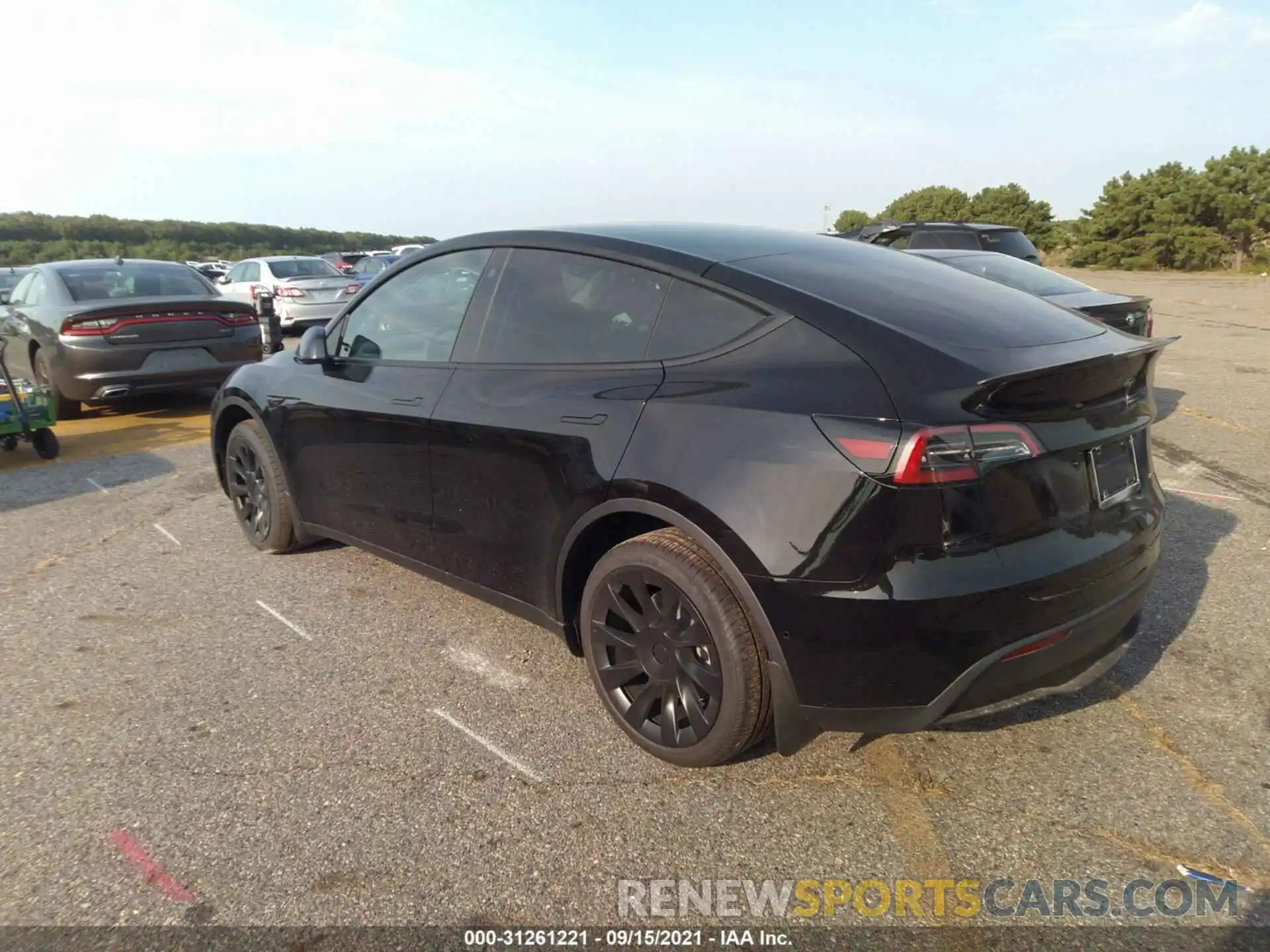 3 Фотография поврежденного автомобиля 5YJYGDEE8MF233691 TESLA MODEL Y 2021